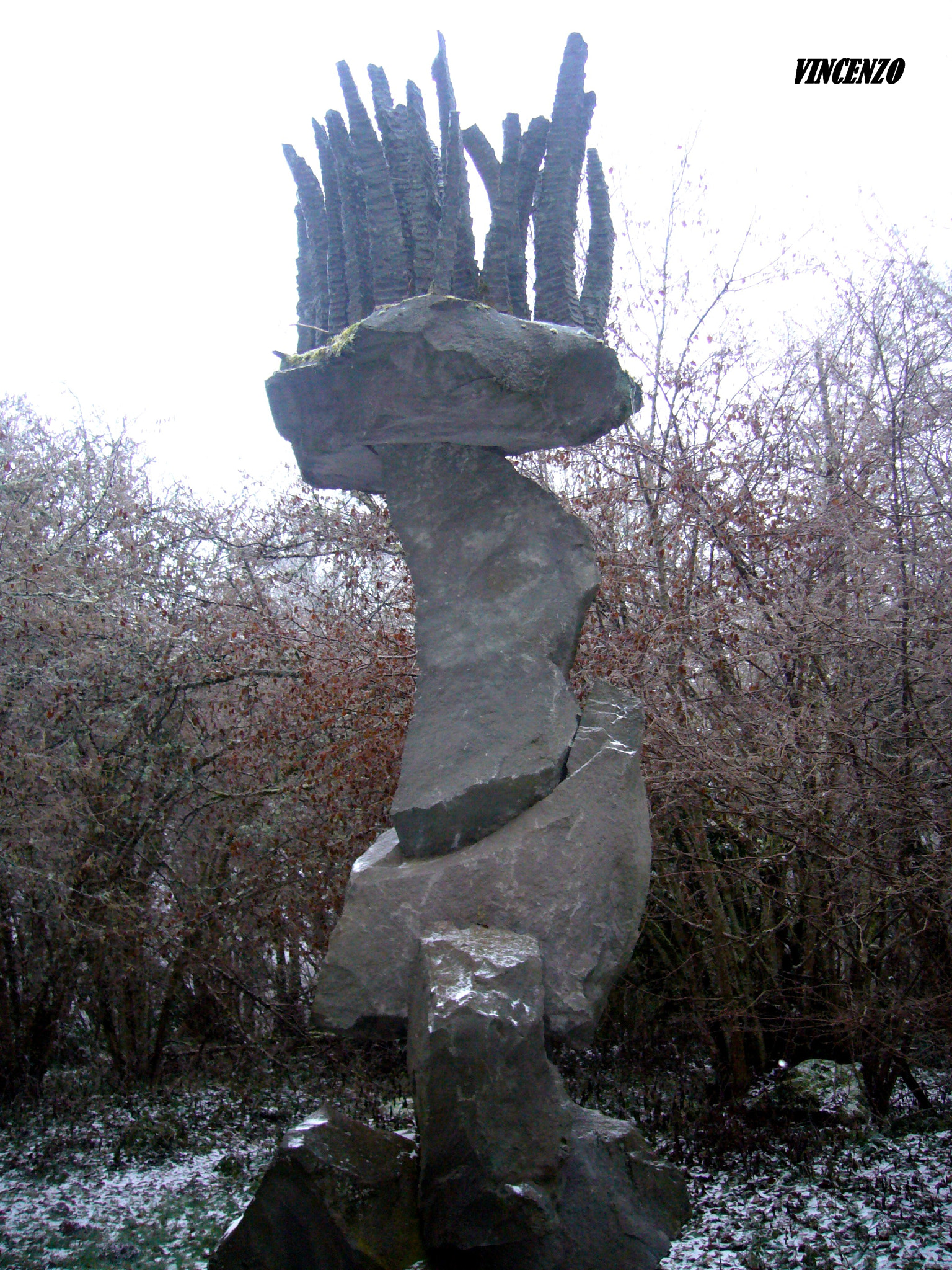 Panasonic DMC-FX9 sample photo. Unexpected winter & stone hairs photography