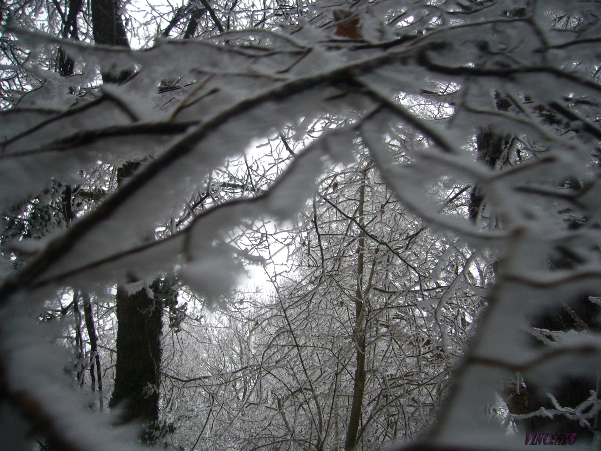 Panasonic DMC-FX9 sample photo. Unexpected winter & snow photography