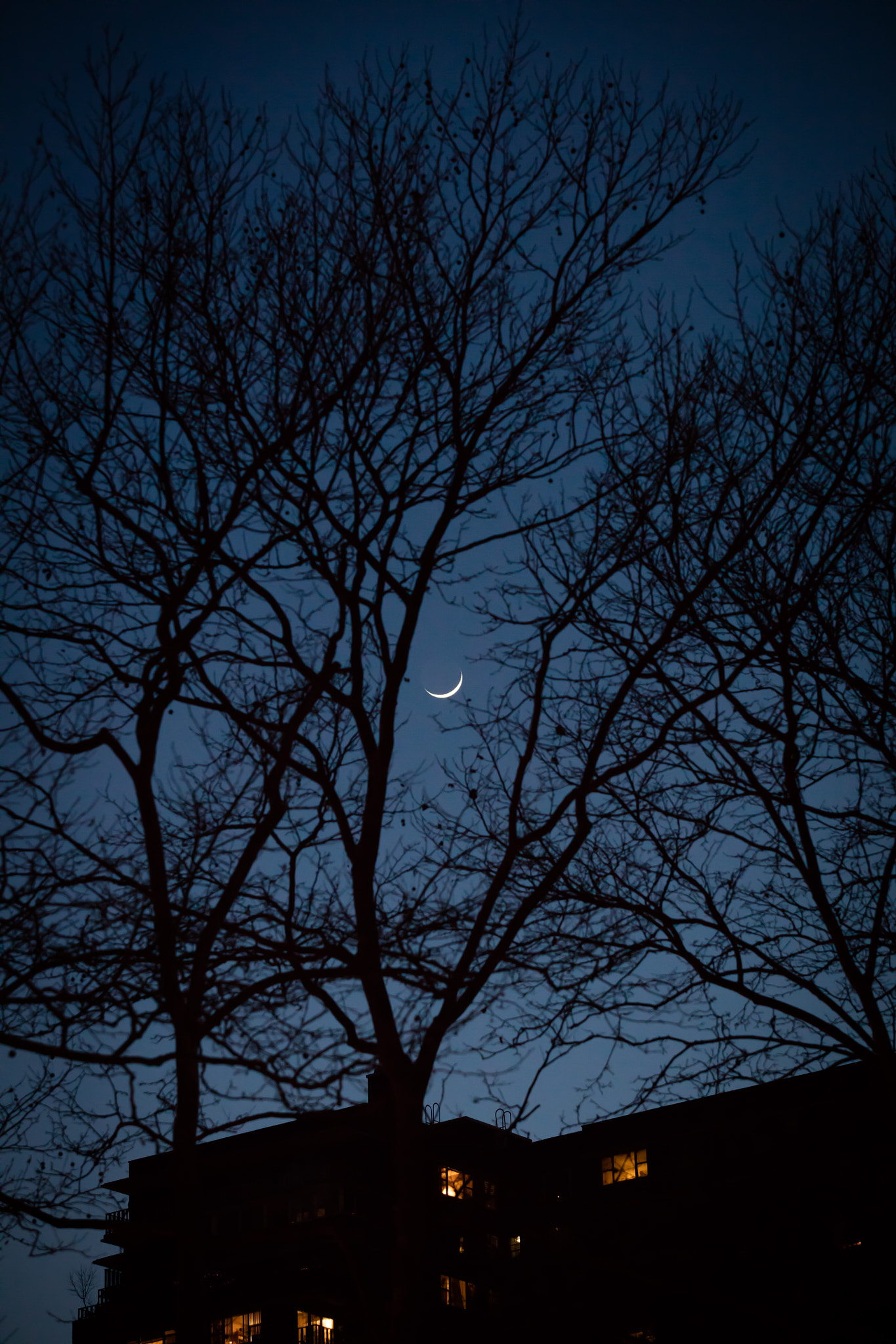 Canon EF 70-200mm F2.8L USM sample photo. Evening mood photography
