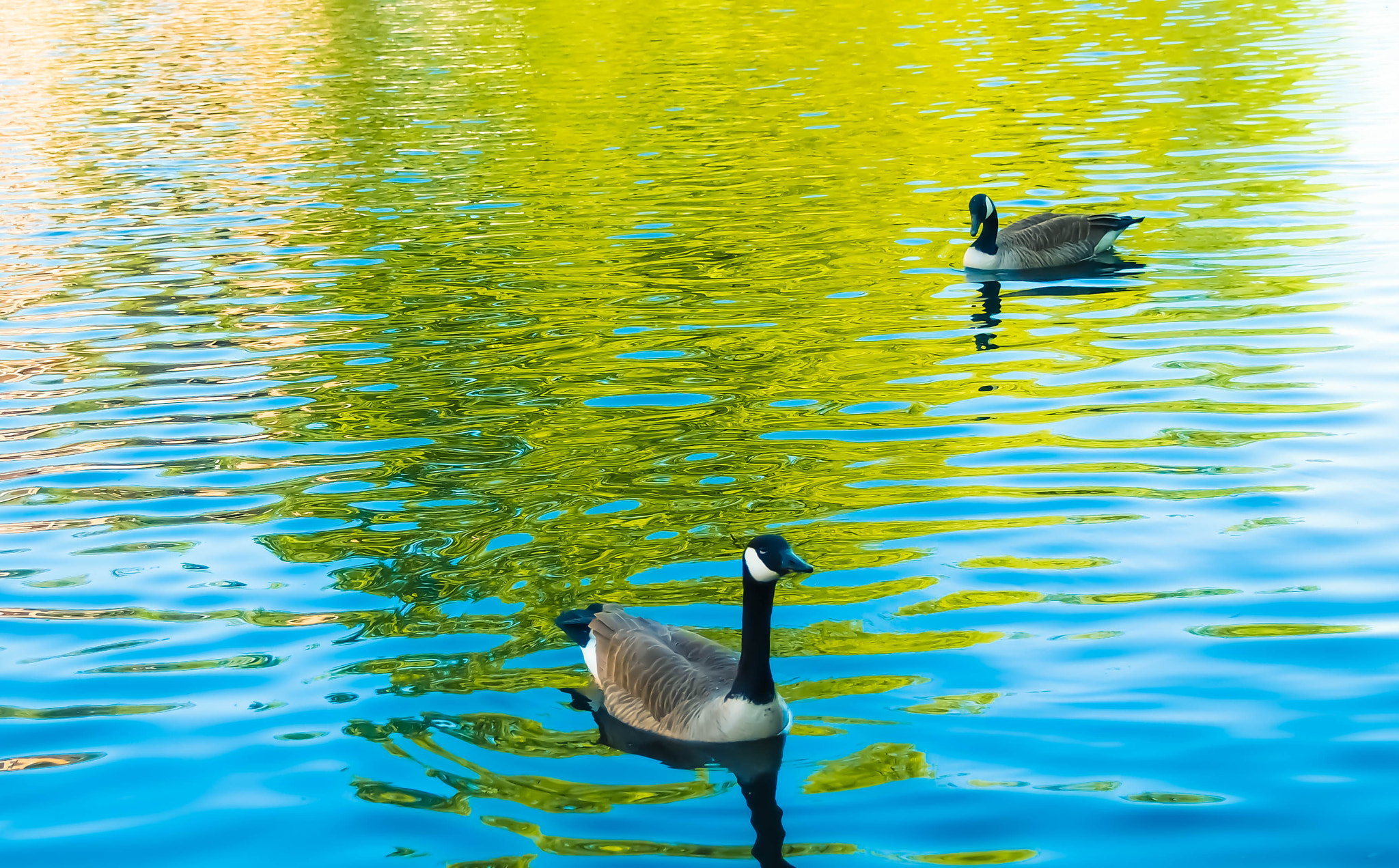 Olympus PEN E-P3 sample photo. Colorful lake photography