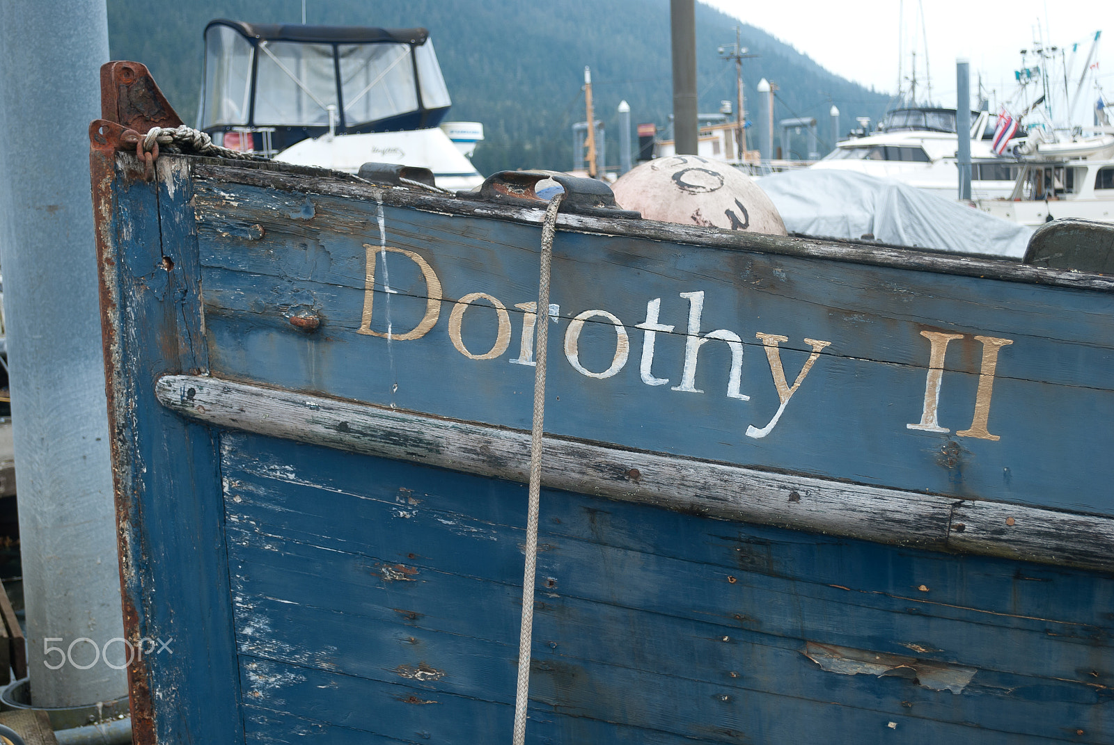 Nikon D40X sample photo. Dorothy ii photography