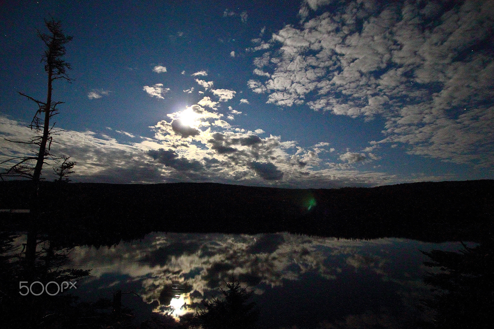 Canon EOS 550D (EOS Rebel T2i / EOS Kiss X4) sample photo. My backyard photography