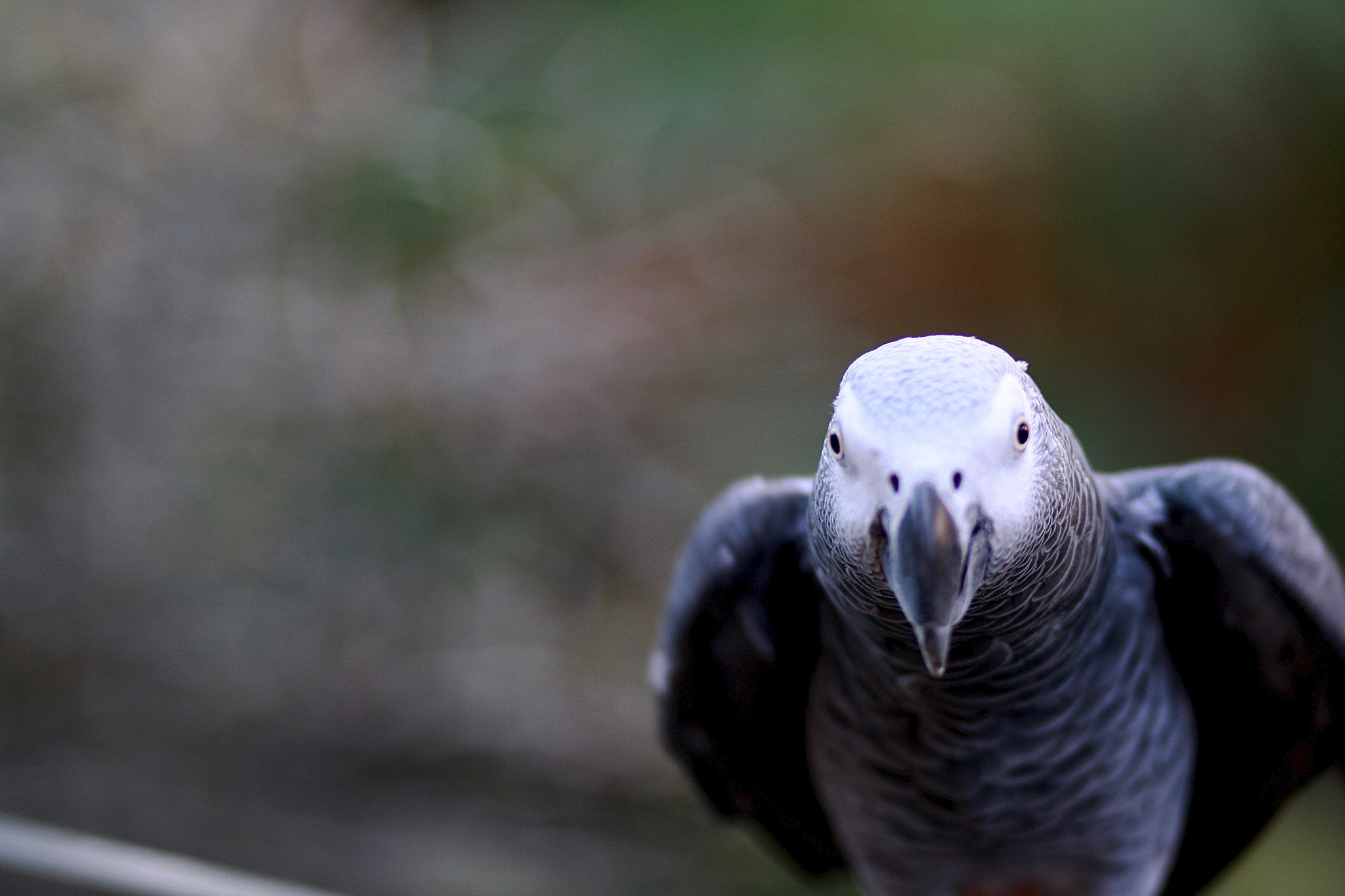 Canon EOS 40D + Canon EF 85mm F1.8 USM sample photo. You got a problem? photography