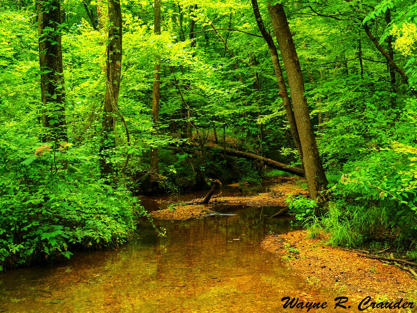 Panasonic Lumix DMC-GF5 sample photo. Creek aug photography