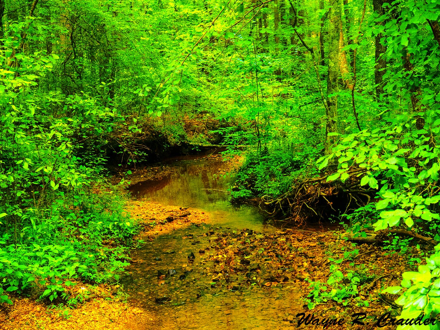 Panasonic Lumix DMC-GF5 sample photo. Creek aug photography