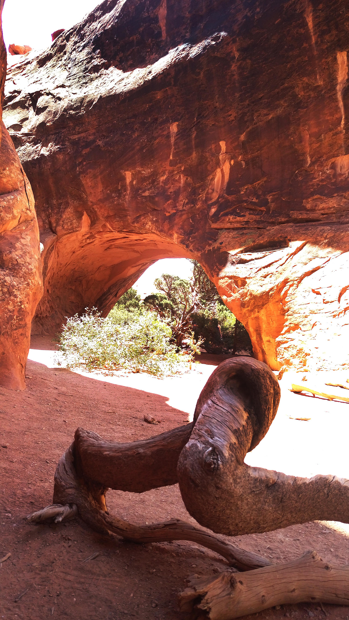 HTC ONE M9+ sample photo. Arches national park photography