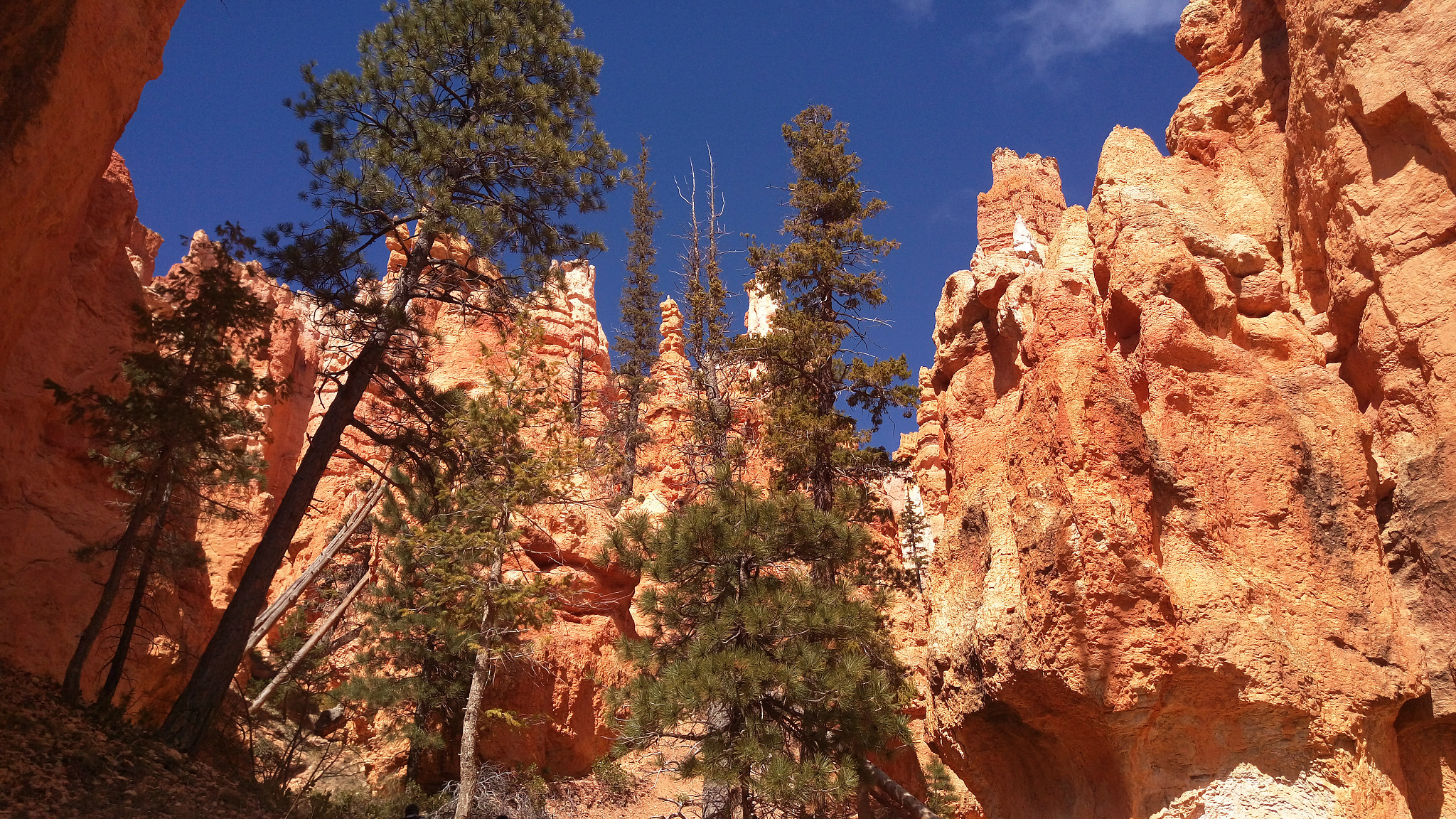 HTC ONE M9+ sample photo. Bryce canyon photography