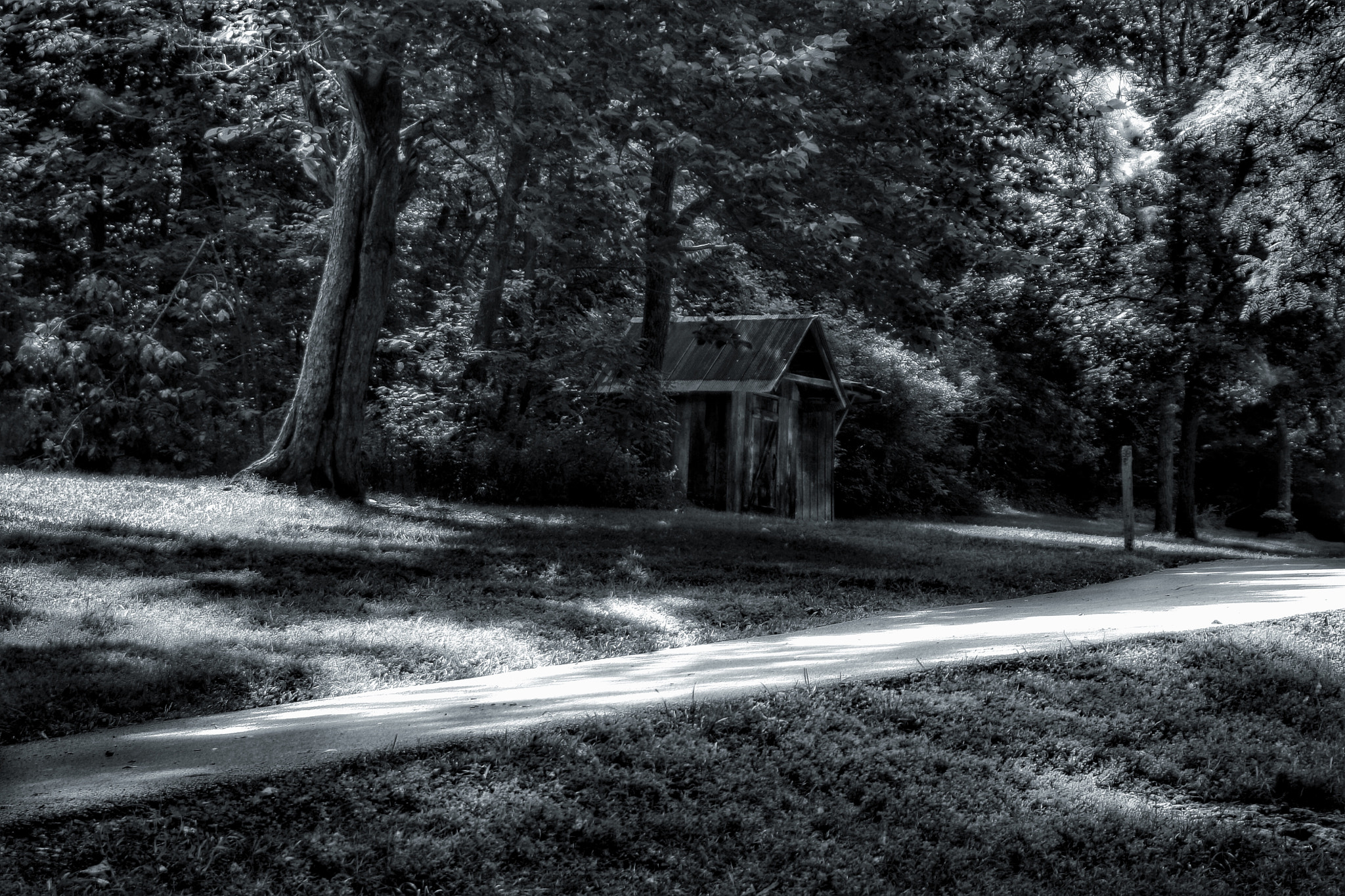 Canon 28-200mm sample photo. A little shack at the edge of the woods photography