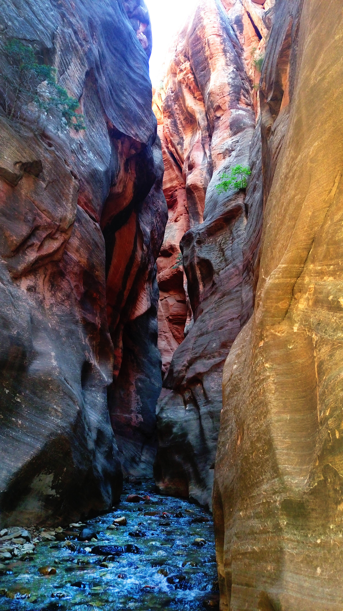 HTC ONE M9+ sample photo. Kanaraville falls photography