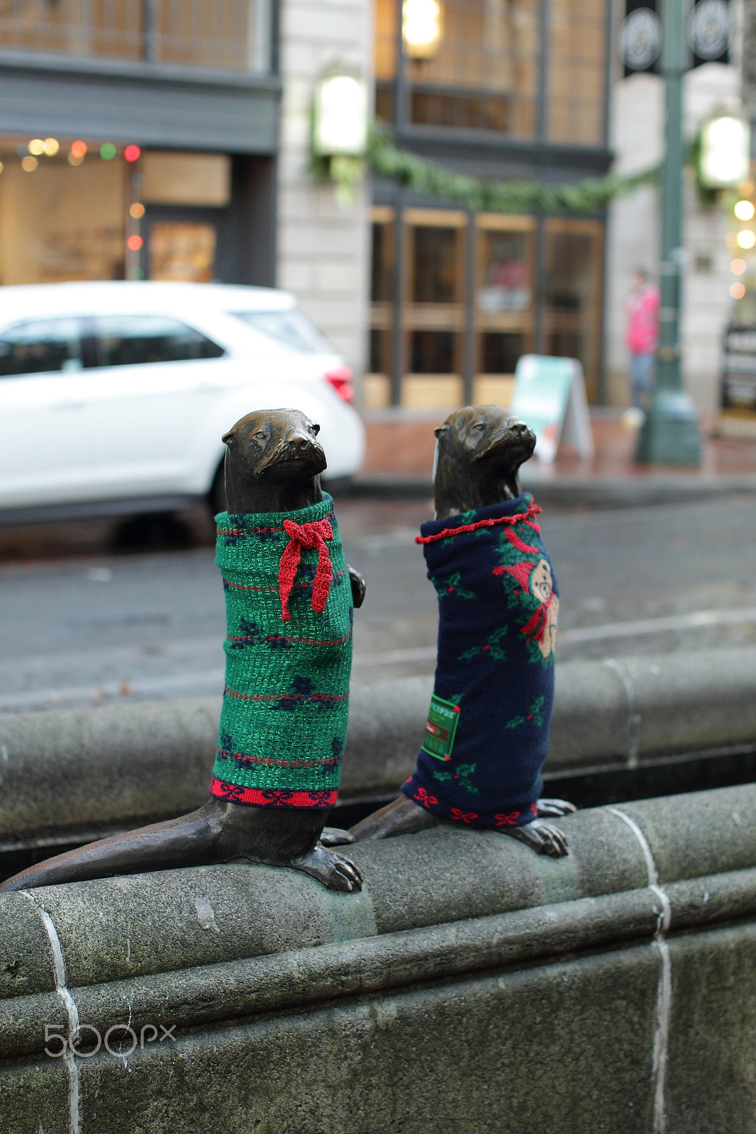 Canon EOS-1D Mark IV sample photo. Downtown portland animals in winter photography