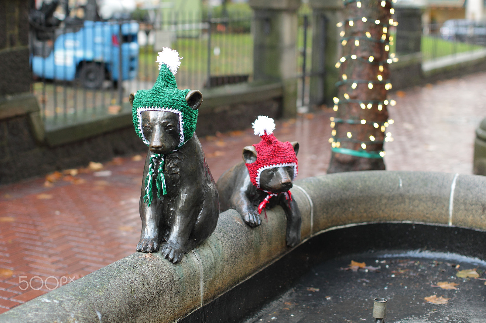 Canon EOS-1D Mark IV sample photo. Downtown portland animals in winter photography
