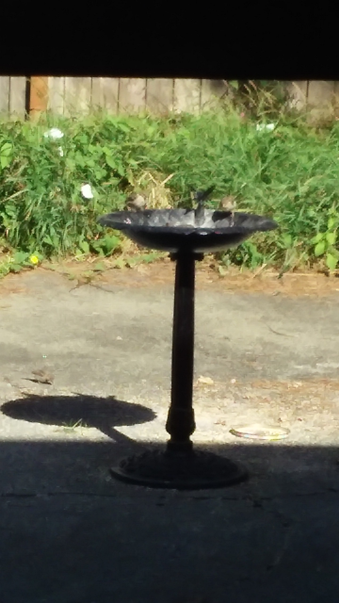 LG POWER sample photo. A photography