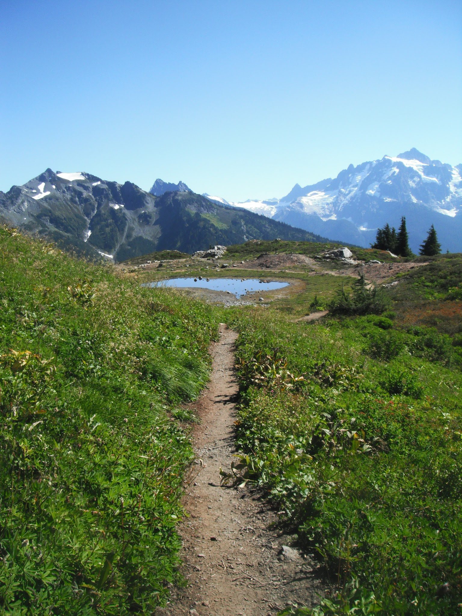 FujiFilm FinePix Z70 (FinePix Z71) sample photo. Mount baker, washington state  photography