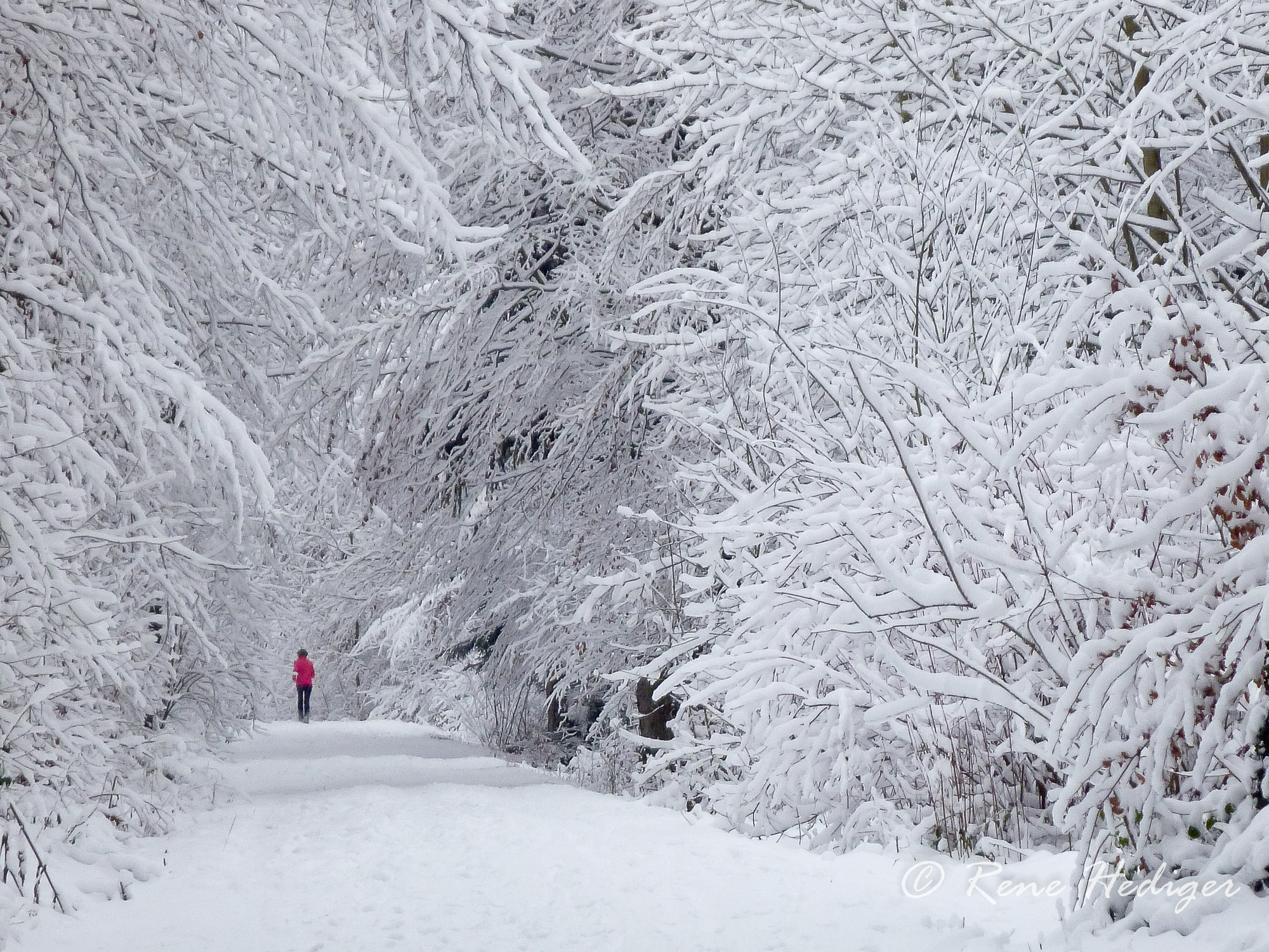 Panasonic DMC-TS2 sample photo. A run in the snow photography