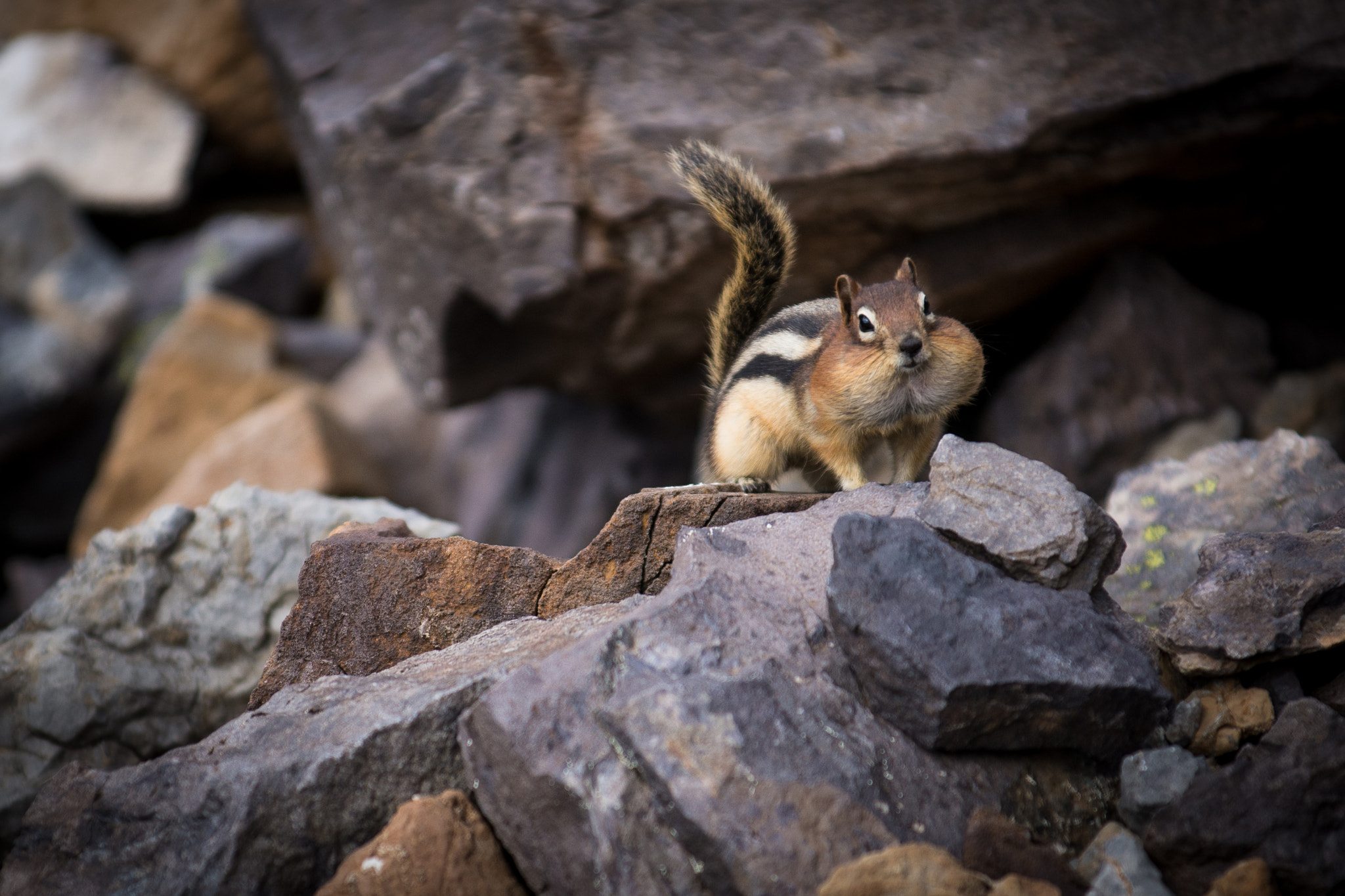 AF-S Zoom-Nikkor 80-200mm f/2.8D IF-ED sample photo. Lake o'hara photography