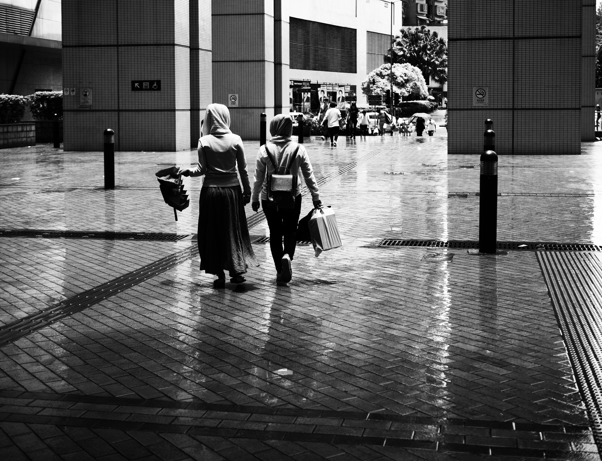 Olympus OM-D E-M5 II + Panasonic Leica DG Summilux 25mm F1.4 II ASPH sample photo. After rain photography