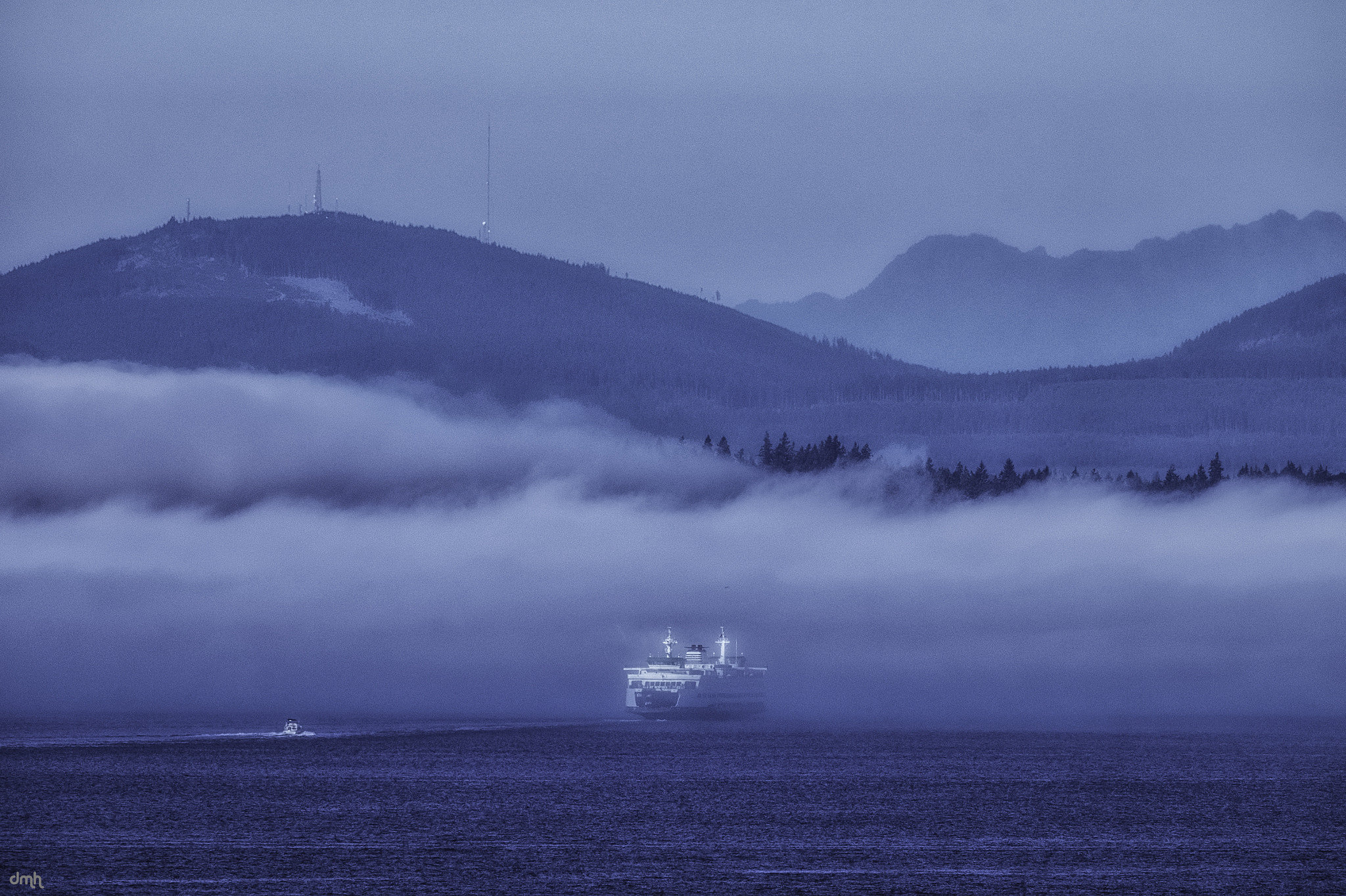 Fujifilm XF 100-400mm F4.5-5.6 R LM OIS WR sample photo. Into the fog bank... photography