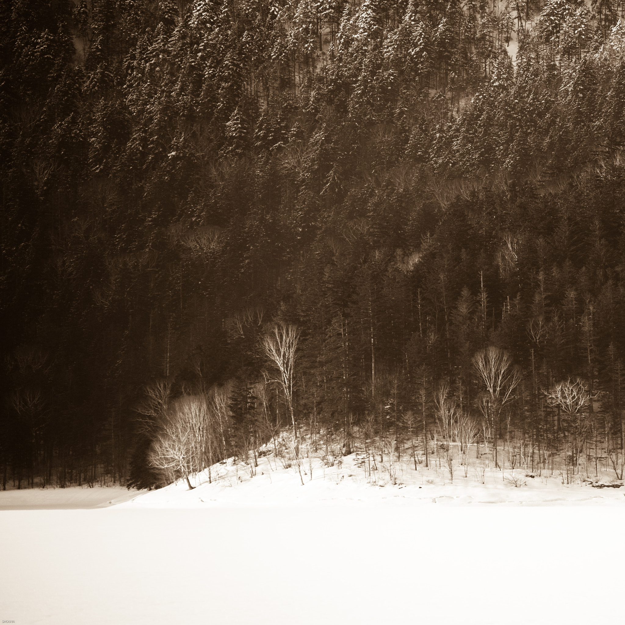 Nikon D3X sample photo. Daisetsuzan photography