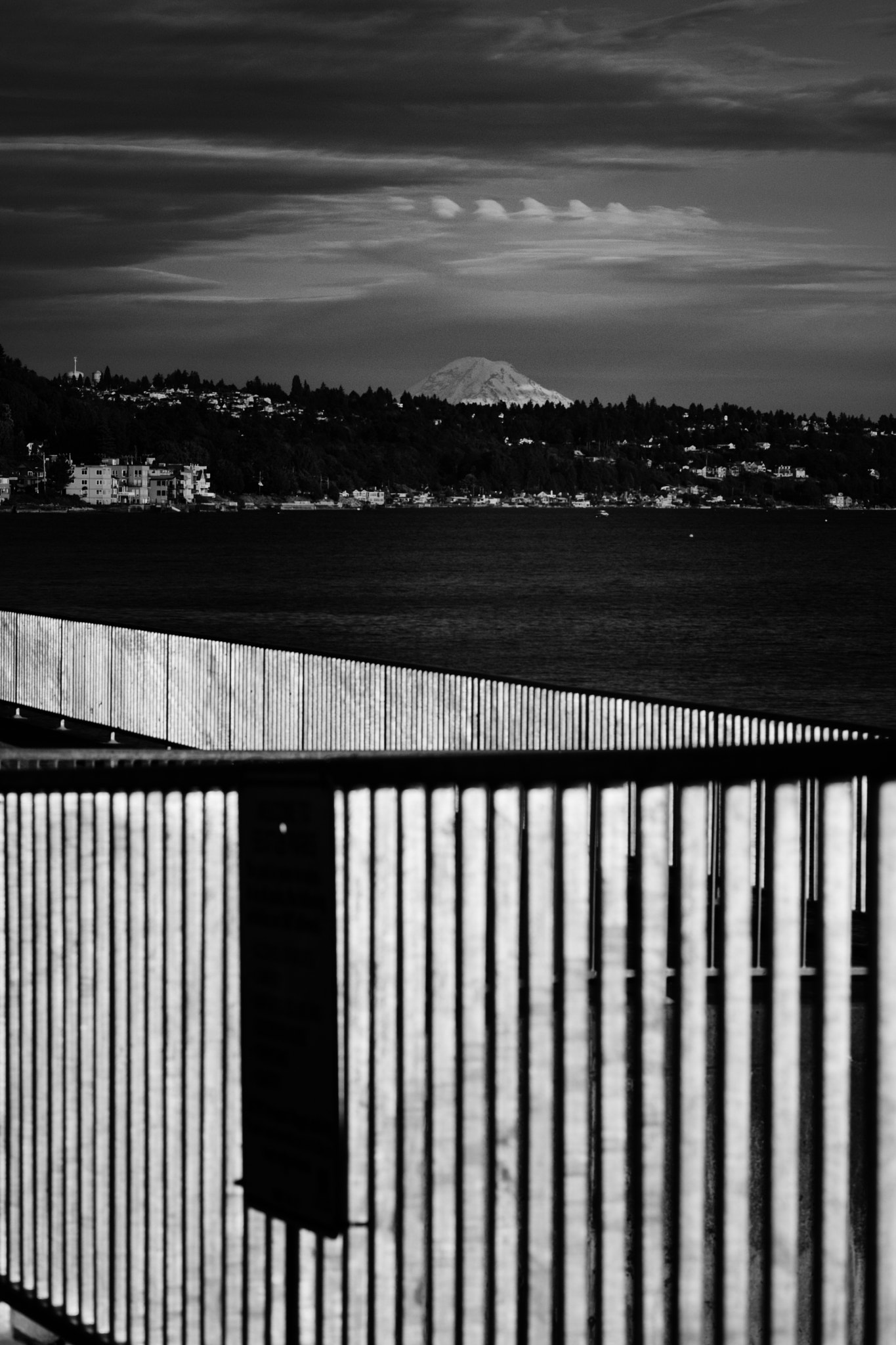 Fujifilm X-Pro2 + Fujifilm XF 60mm F2.4 R Macro sample photo. Pier fence photography