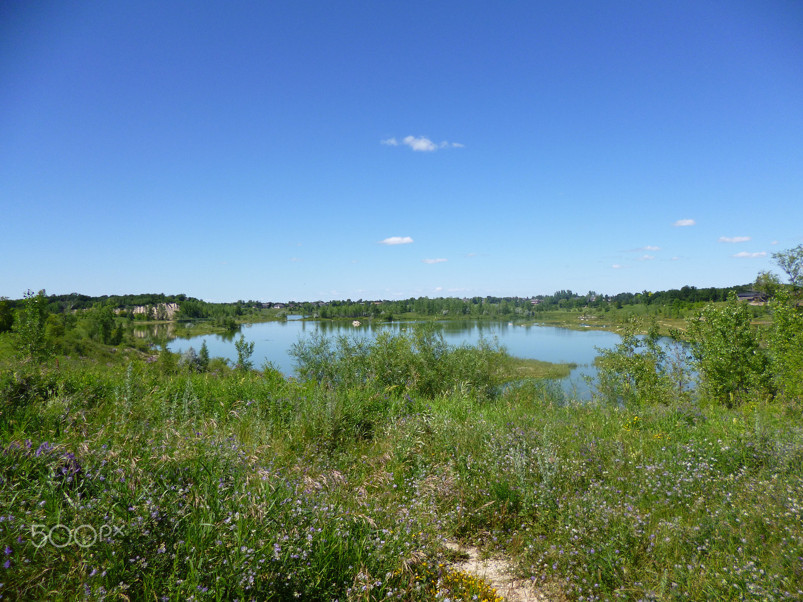 Panasonic DMC-FH8 sample photo. Natural habitat outside winnipeg photography