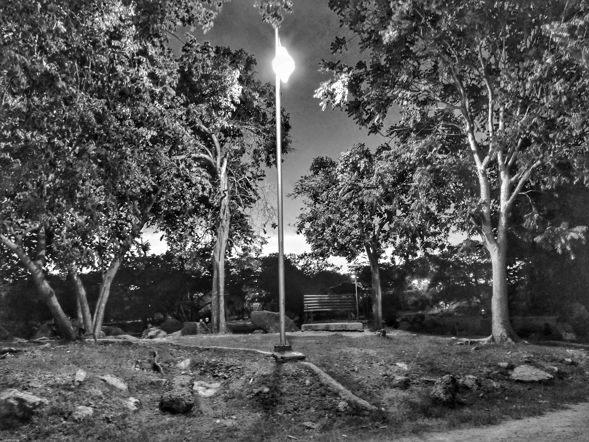 Motorola Moto X Force sample photo