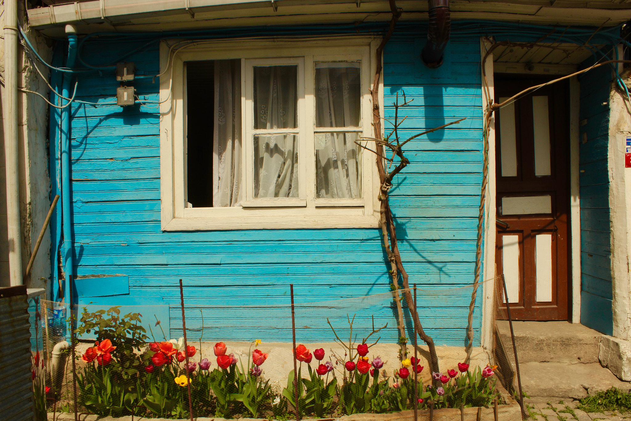 Canon EF-S 18-55mm F3.5-5.6 IS II sample photo. Blue house photography