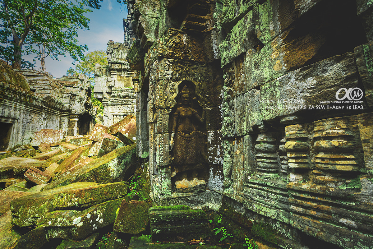 Sony Vario-Sonnar T* 16-35mm F2.8 ZA SSM II sample photo. Nature and temple (taprom temple)! photography