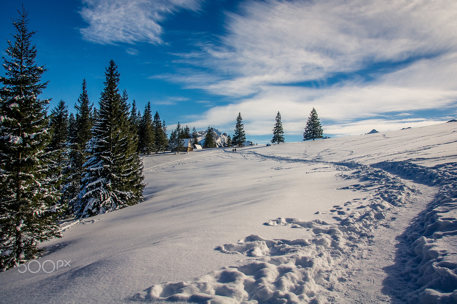 Sony Alpha DSLR-A500 + Tamron AF 28-105mm F4-5.6 [IF] sample photo. Miss winter photography