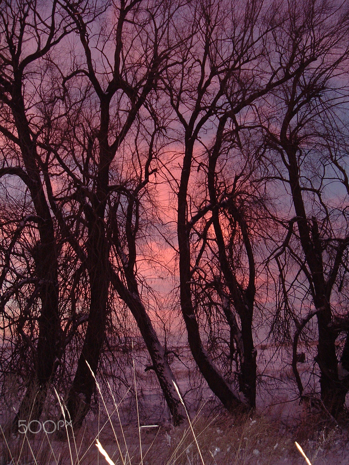 Fujifilm FinePix A210 sample photo. Country sunset photography