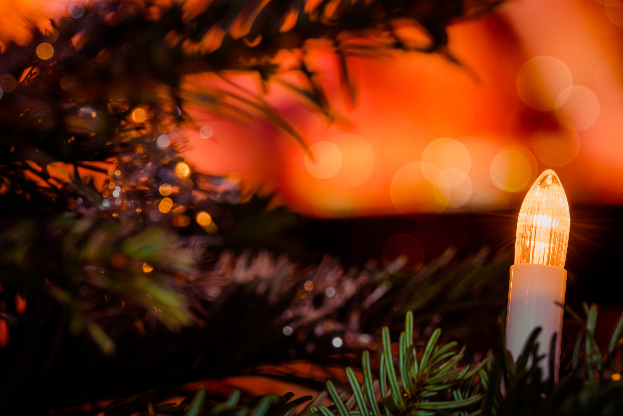 Sony a7R + Sony 70-400mm F4-5.6 G SSM II sample photo. Christmas tree with xmas lights photography