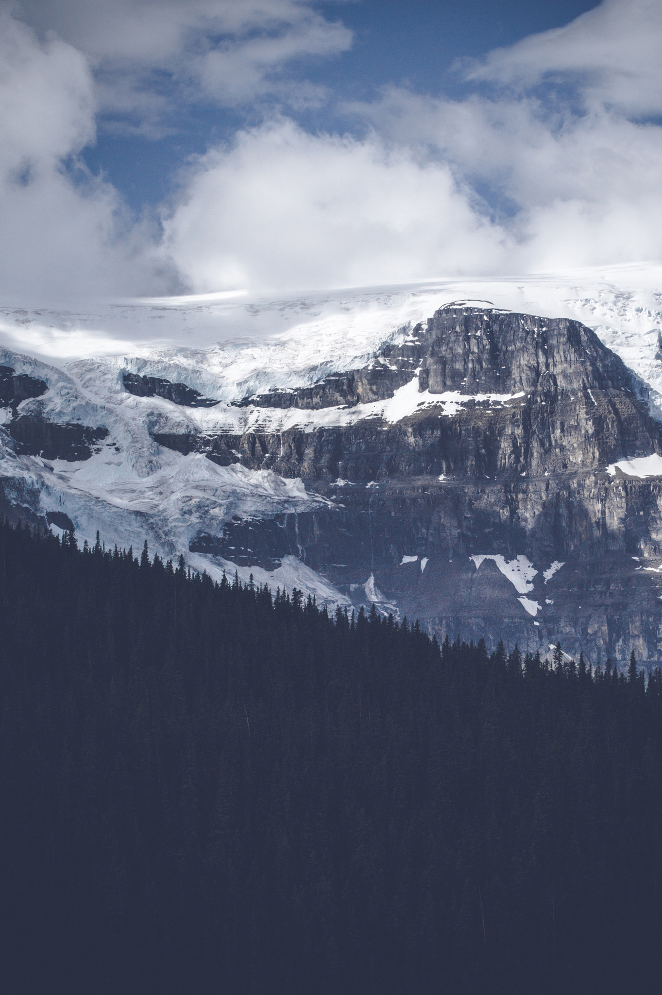 Sony 75-300mm F4.5-5.6 sample photo. Pine tree forest below a large mountain photography