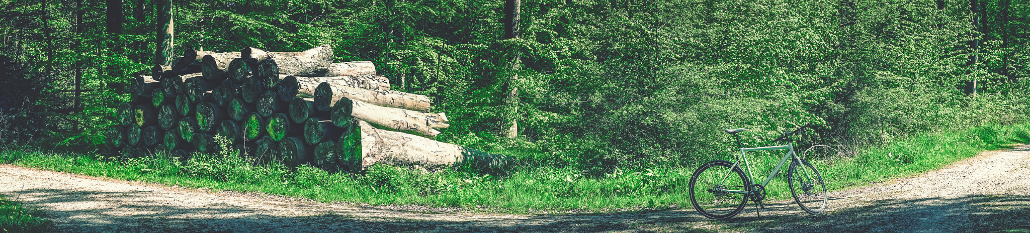 Sony a7R + Minolta AF 50mm F1.4 [New] sample photo. Bike in a green forest photography