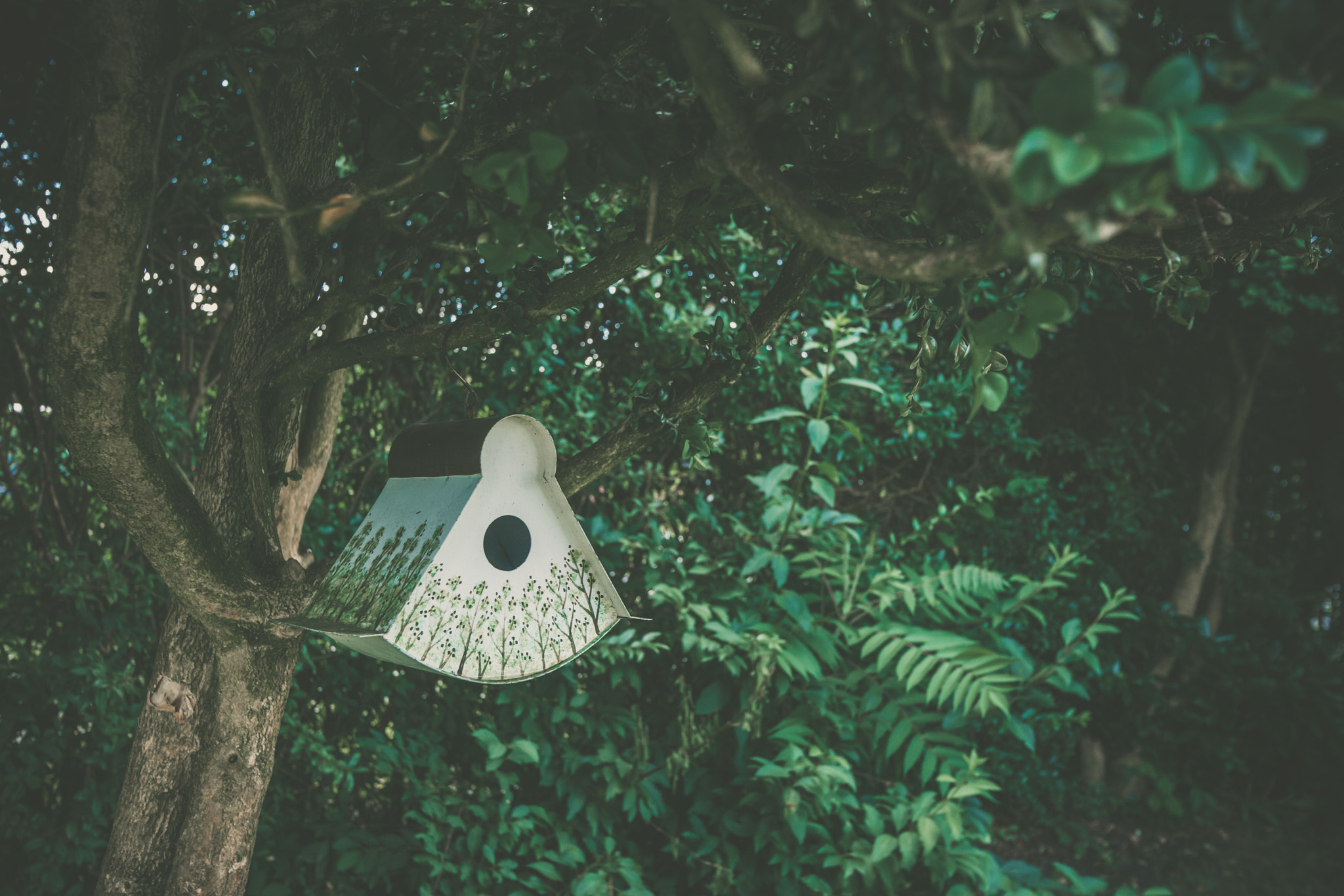 Sony Alpha DSLR-A900 + Sony Vario-Sonnar T* 16-35mm F2.8 ZA SSM sample photo. Birdhouse with decorative tree patterns photography