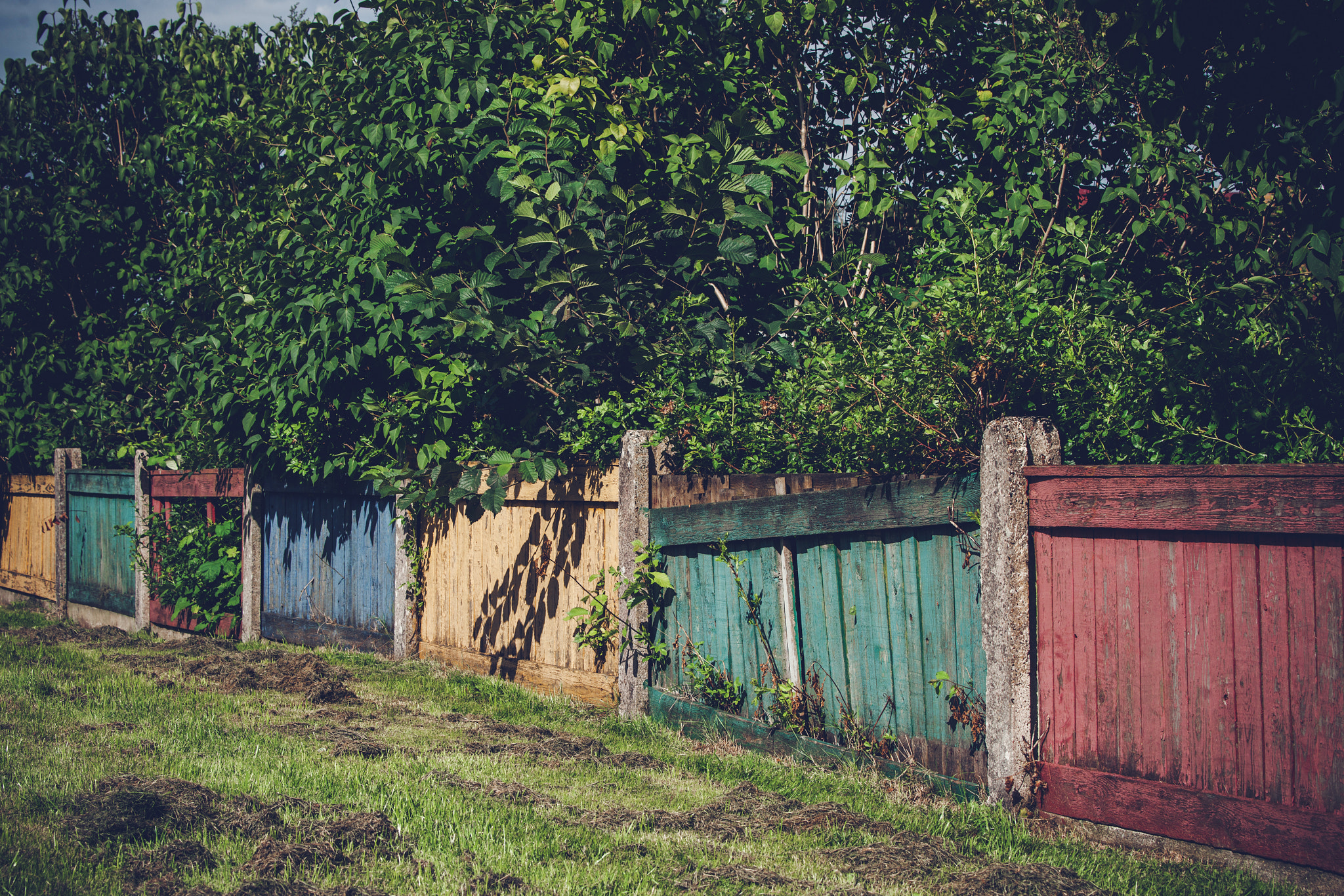 Sony 70-400mm F4-5.6 G SSM II sample photo. Wooden fence in various colors photography