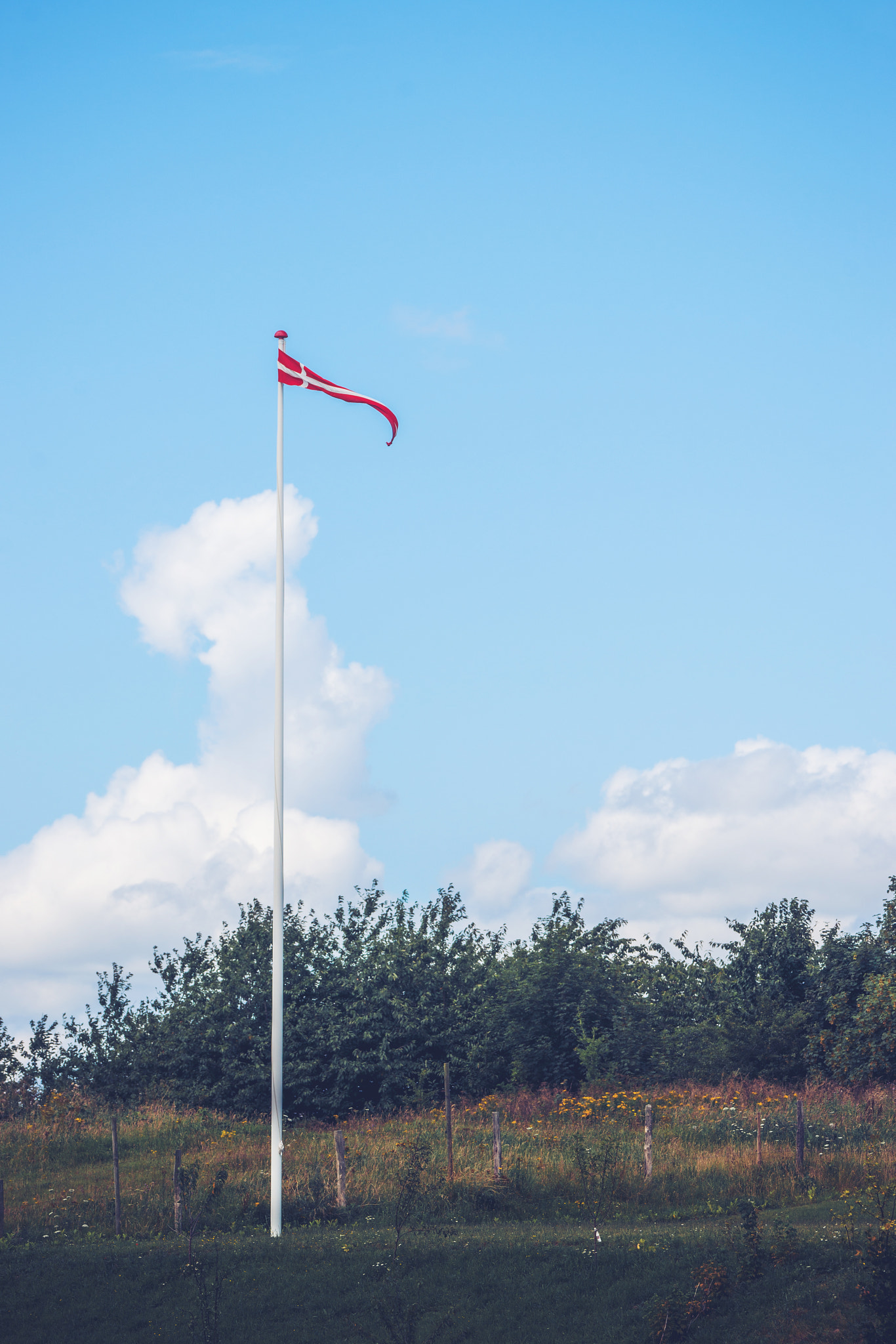 Sony 70-400mm F4-5.6 G SSM II sample photo. Pennant in danish colors on a lawn photography