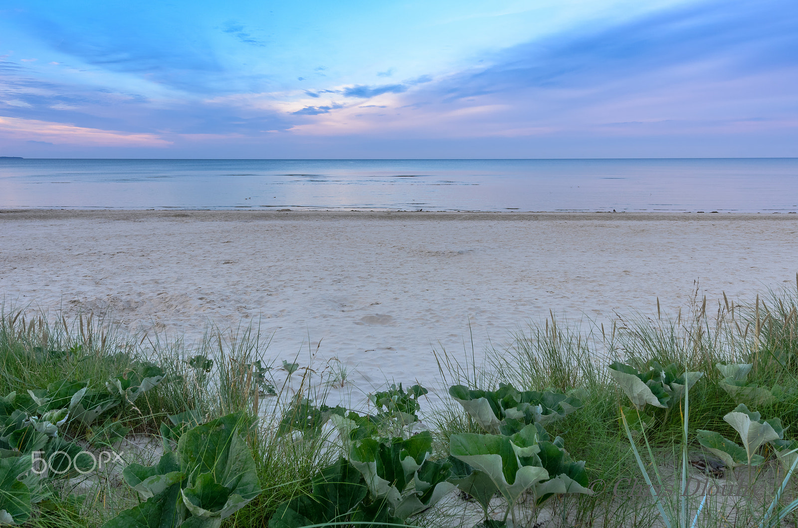 Nikon AF-S Nikkor 14-24mm F2.8G ED sample photo. Usedom #2 photography