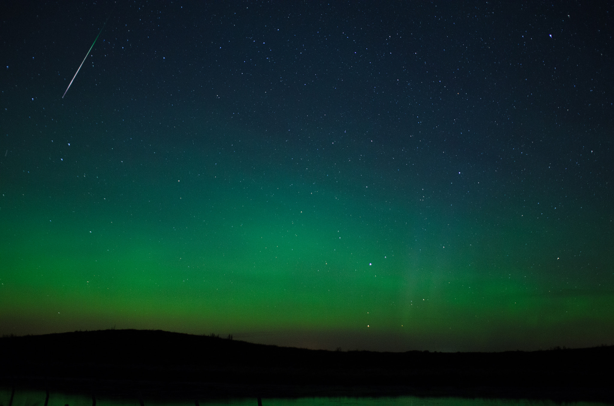 Nikon D5100 + Sigma 30mm F1.4 EX DC HSM sample photo. Persieds northern lights photography