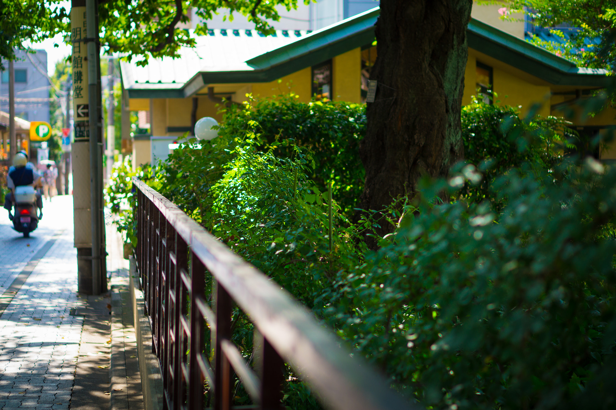Sony Alpha a5000 (ILCE 5000) + E 50mm F1.8 OSS sample photo