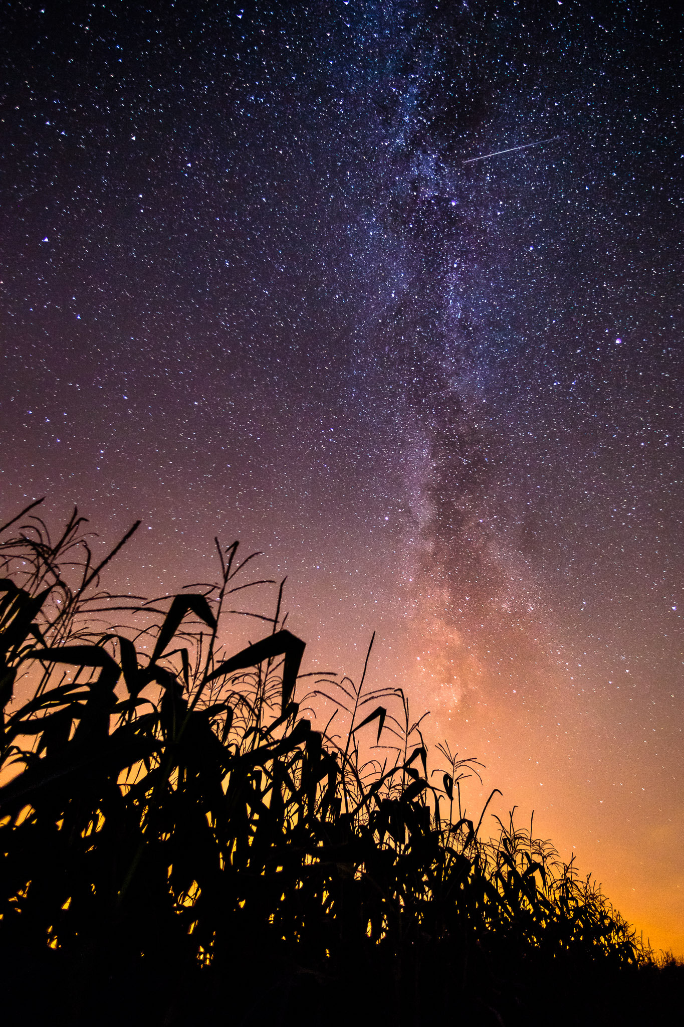 Canon EF 14mm F2.8L USM sample photo. Perseid meteor shower photography