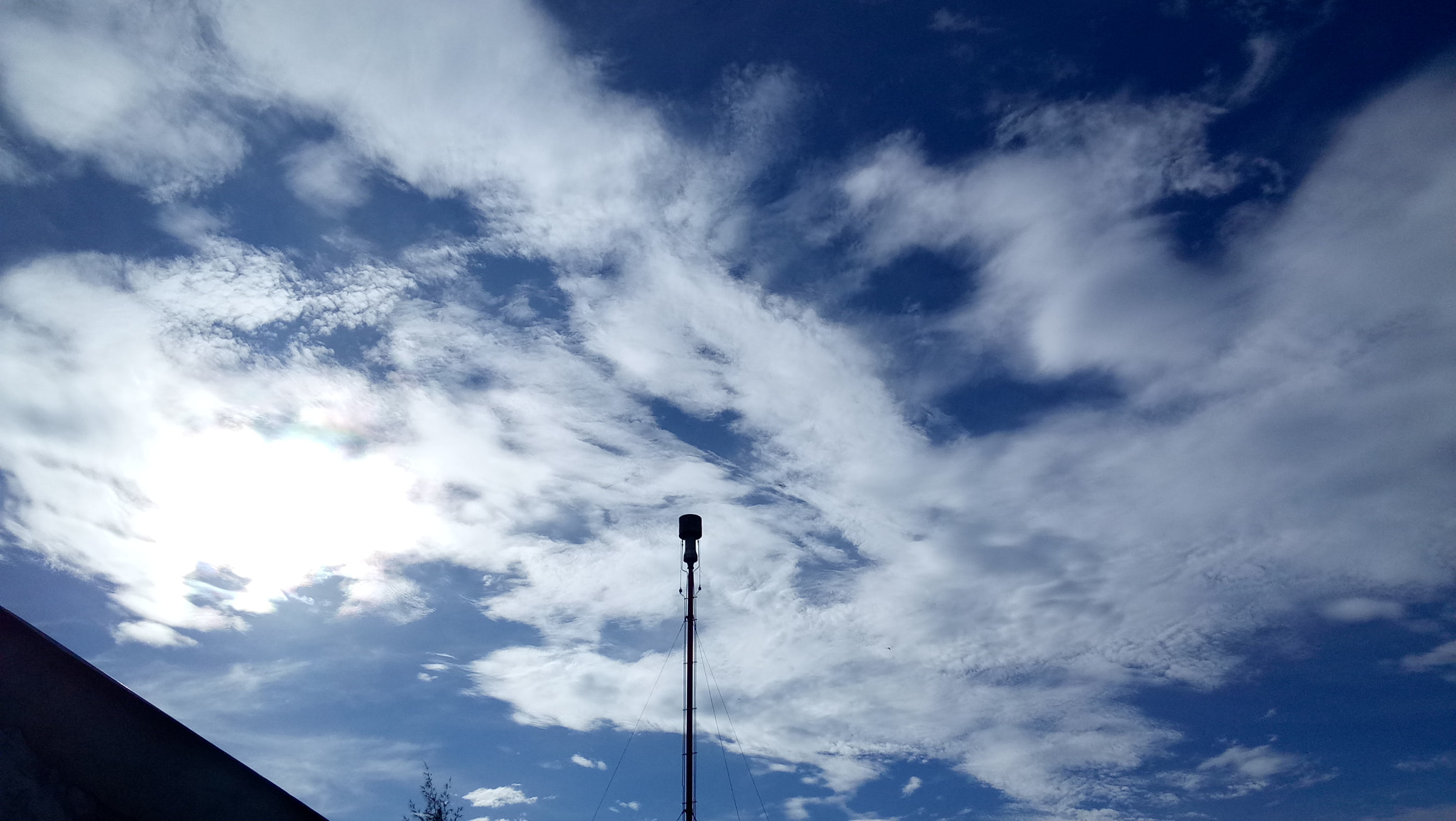 OPPO A37M sample photo