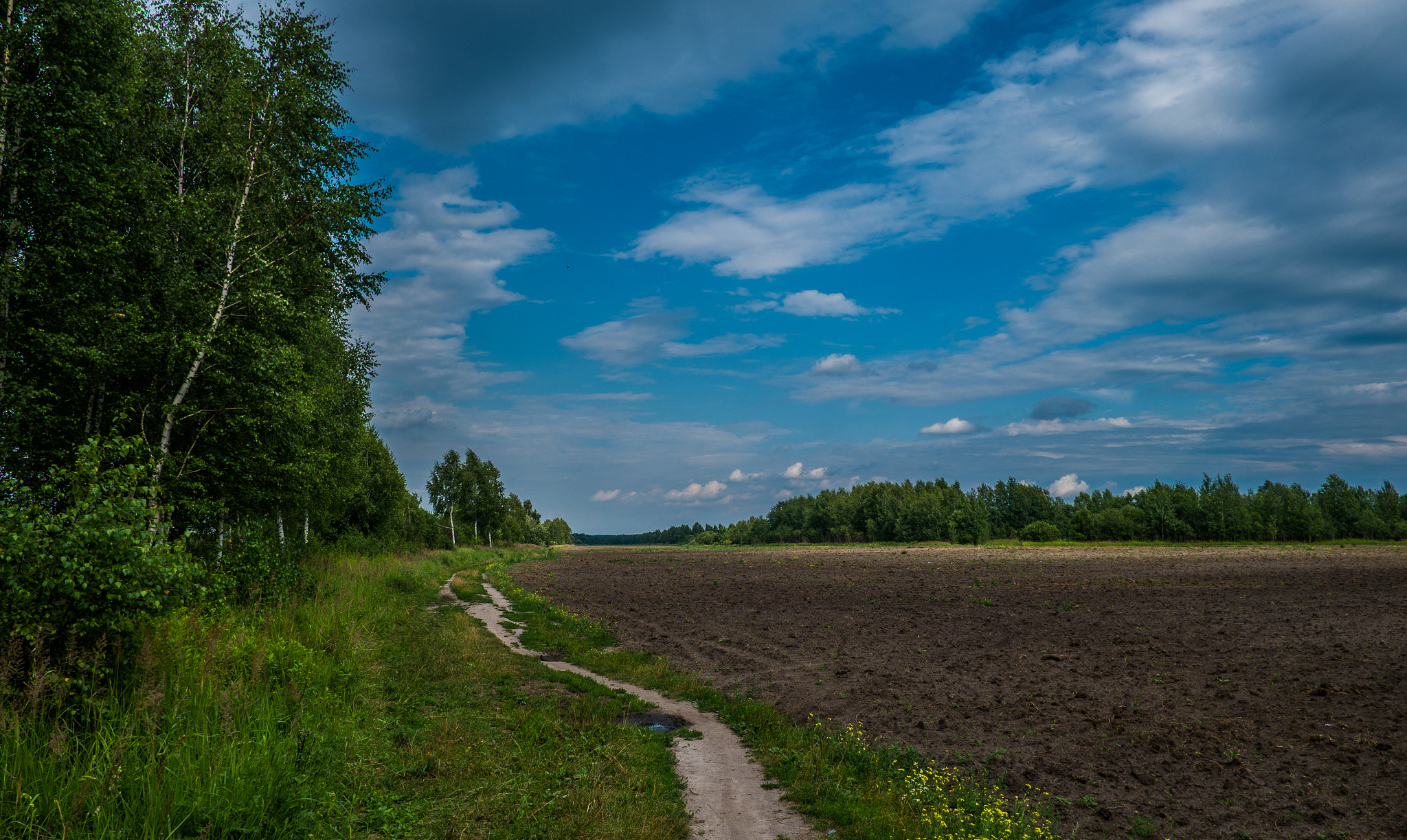 Fujifilm X-A1 + Fujifilm XF 18mm F2 R sample photo. Field photography