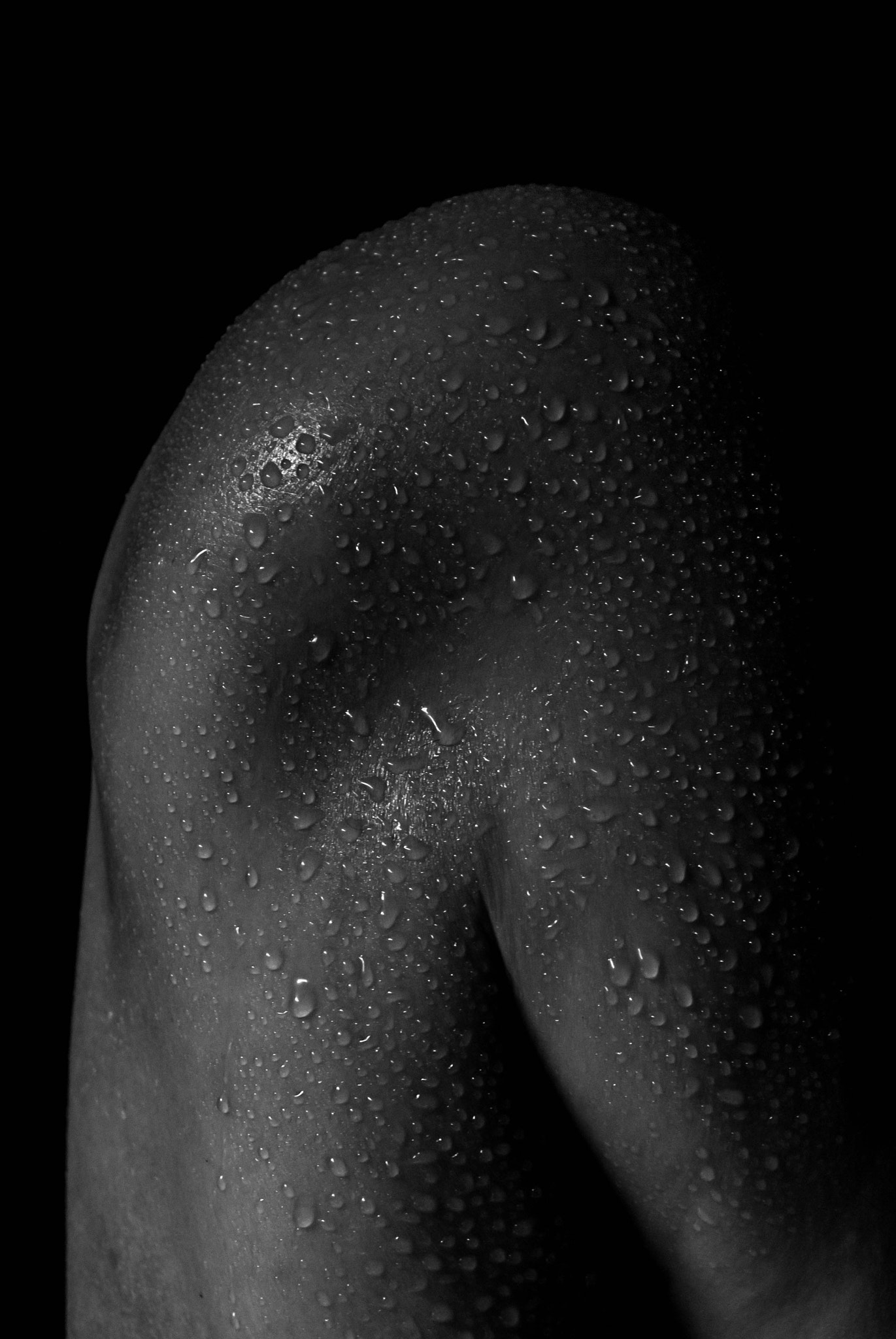 Nikon D80 sample photo. Cuerpo photography