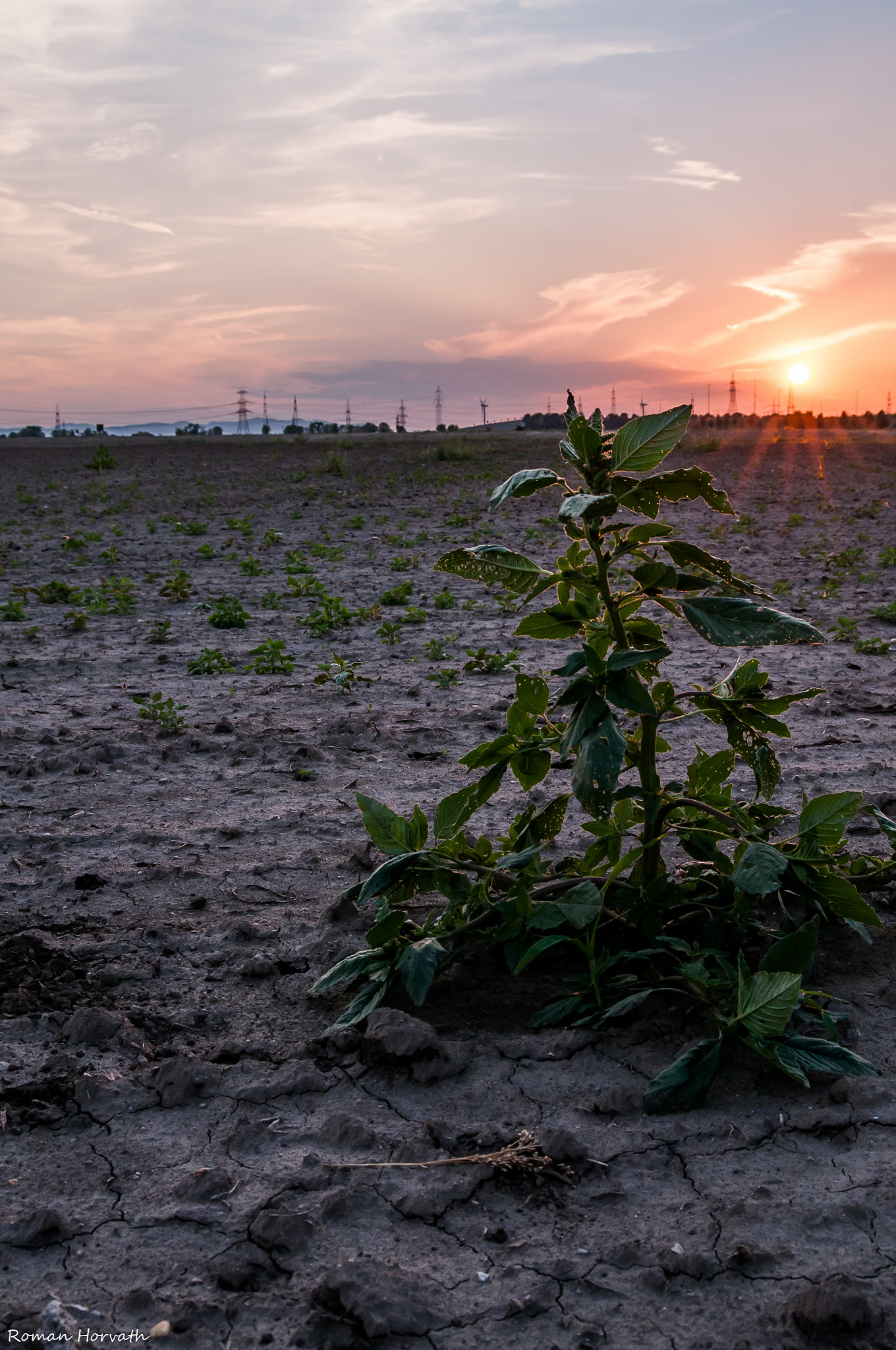AF Zoom-Nikkor 28-70mm f/3.5-4.5D sample photo. Summer evening photography