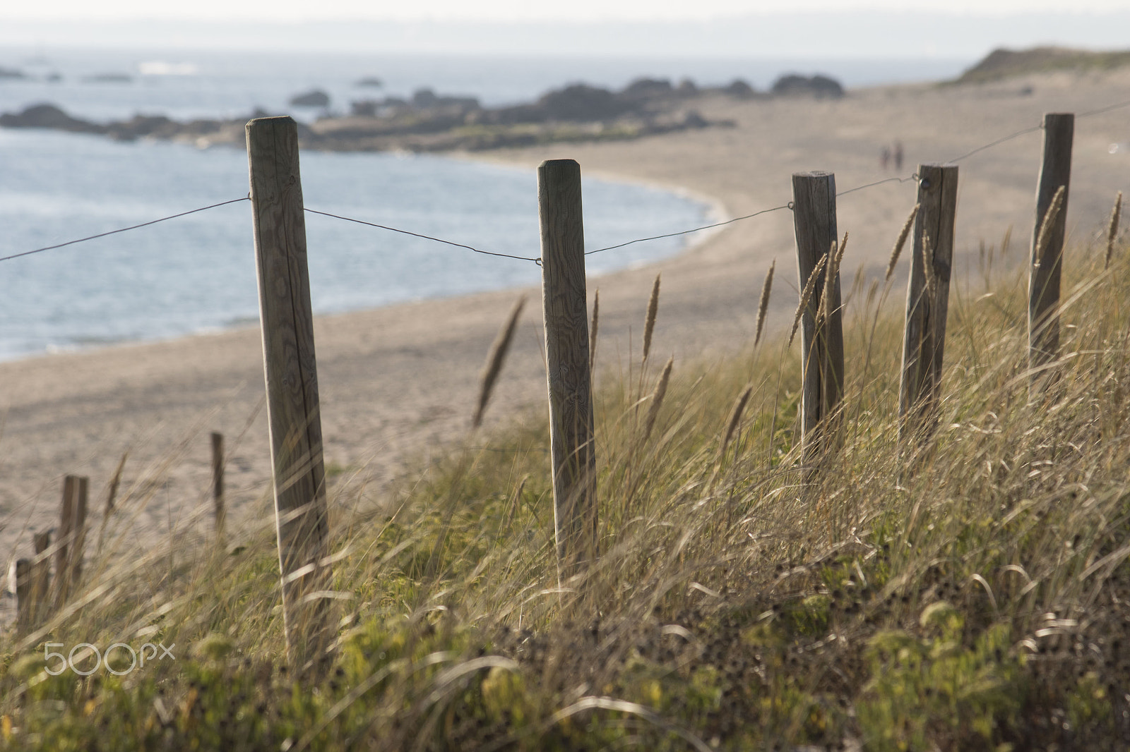 Canon EOS 7D Mark II + Canon EF-S 55-250mm F4-5.6 IS sample photo. Fence by the seashore photography