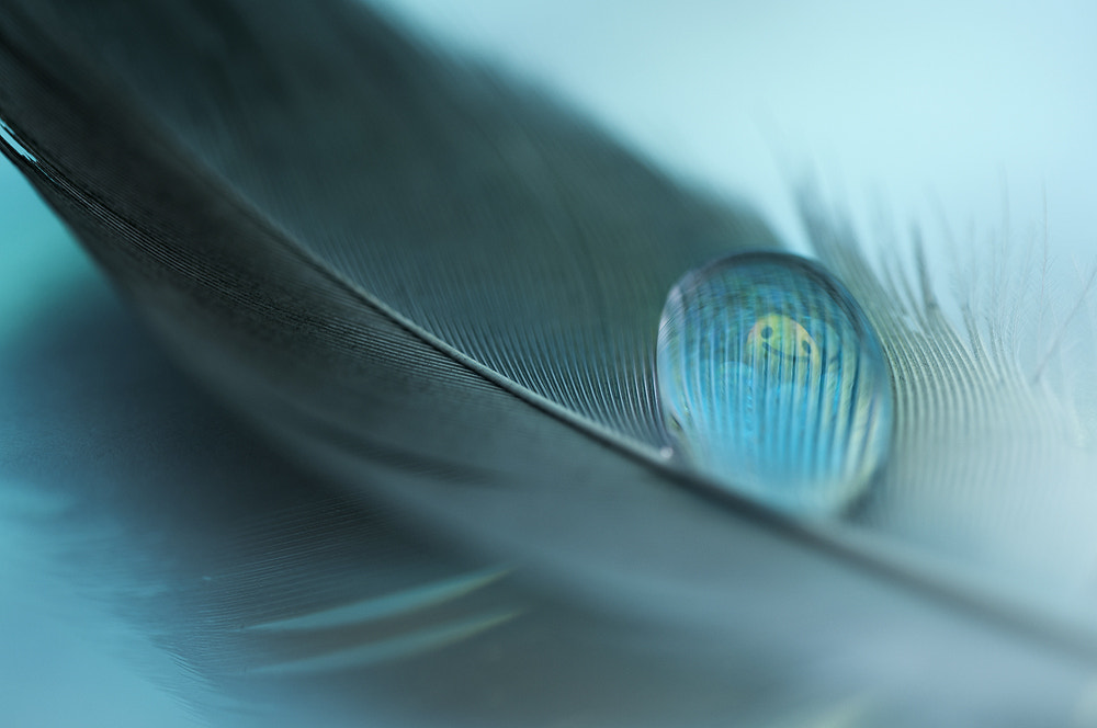 Sigma 150mm F2.8 EX DG OS Macro HSM sample photo. Give me a big smile photography