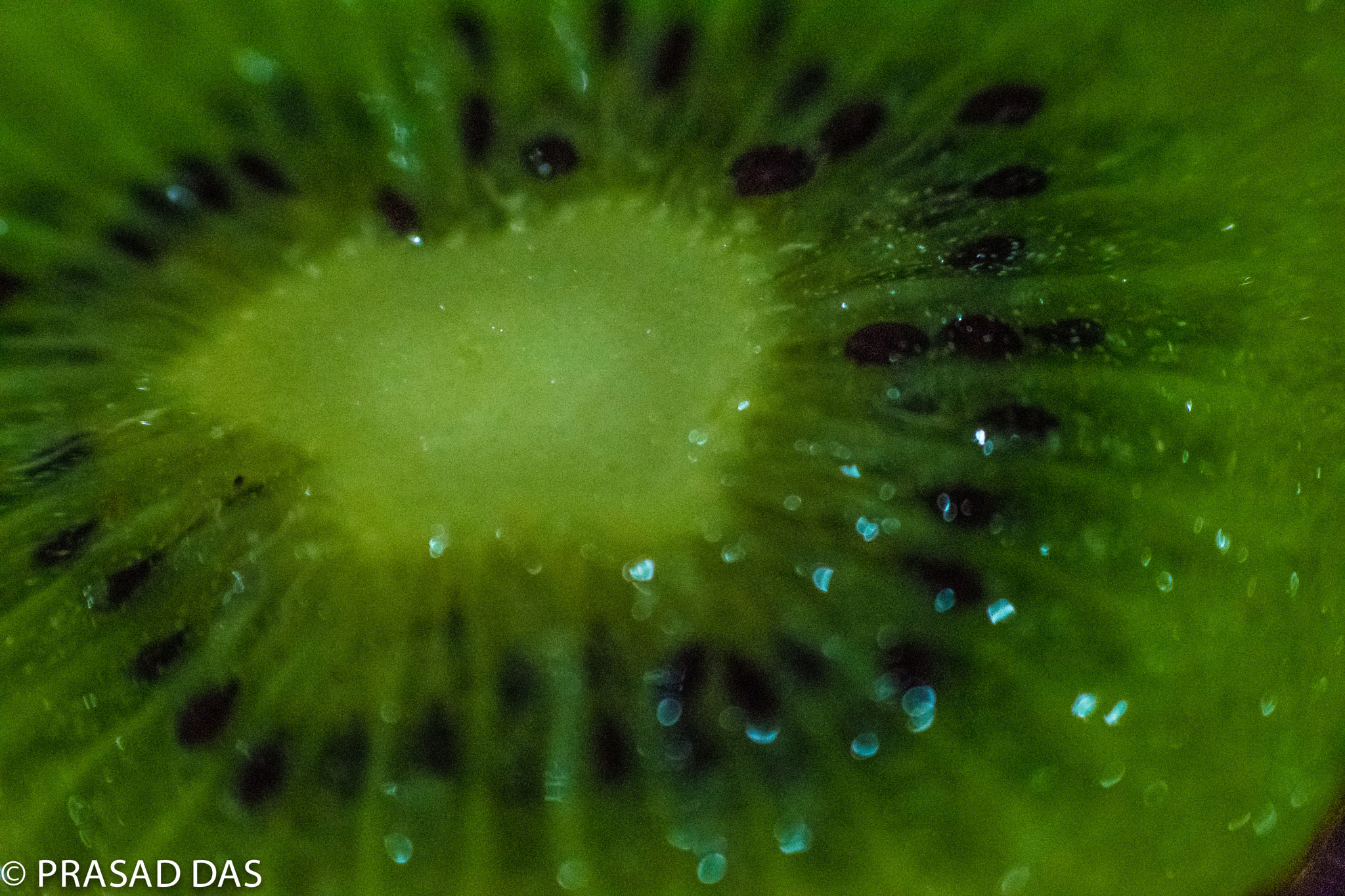 Nikon AF-S Micro-Nikkor 105mm F2.8G IF-ED VR sample photo. Kiwi fruit interior green variety (of ) photography