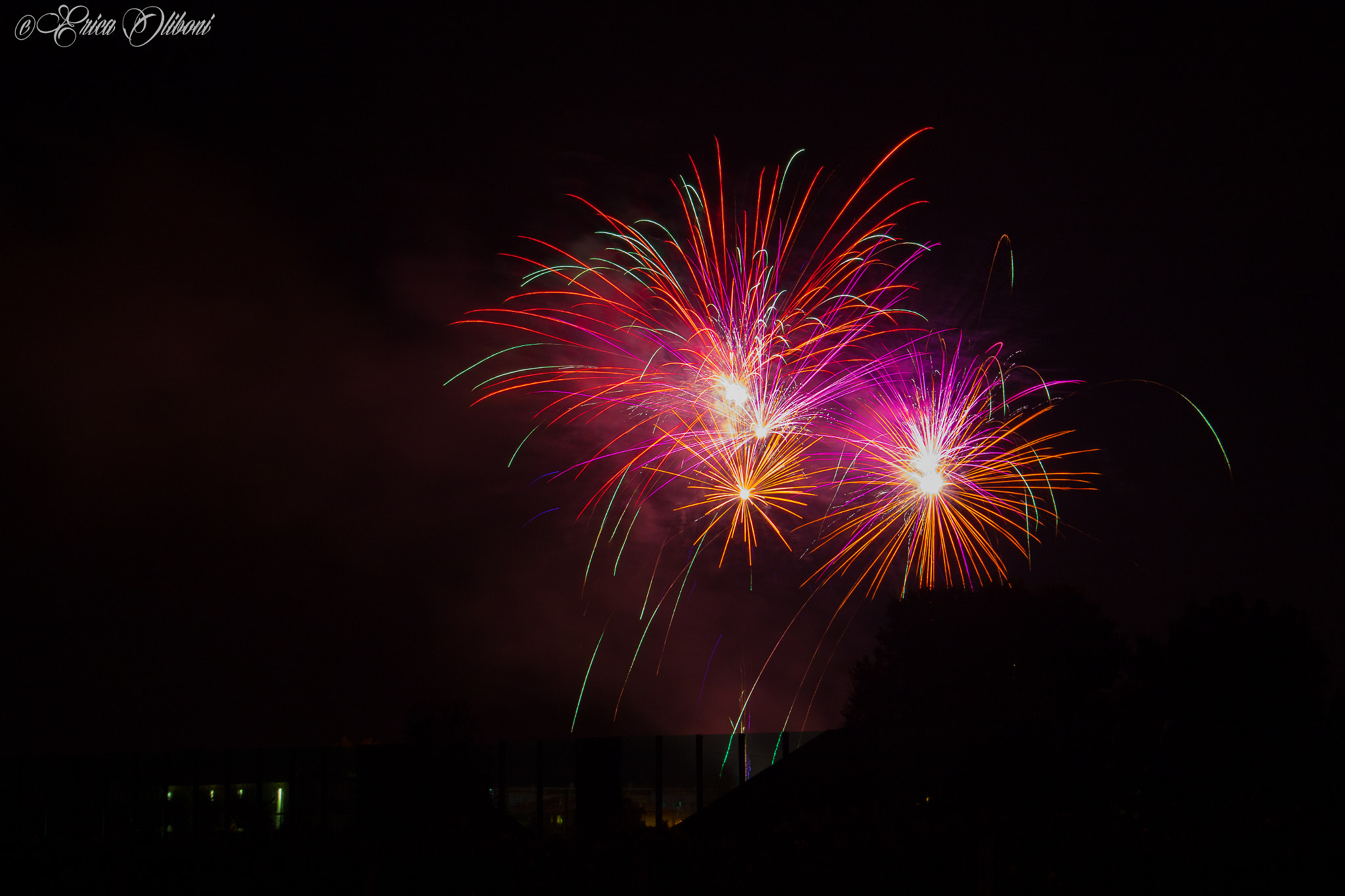 Canon EF 24-105mm F3.5-5.6 IS STM sample photo. Fireworks1 photography