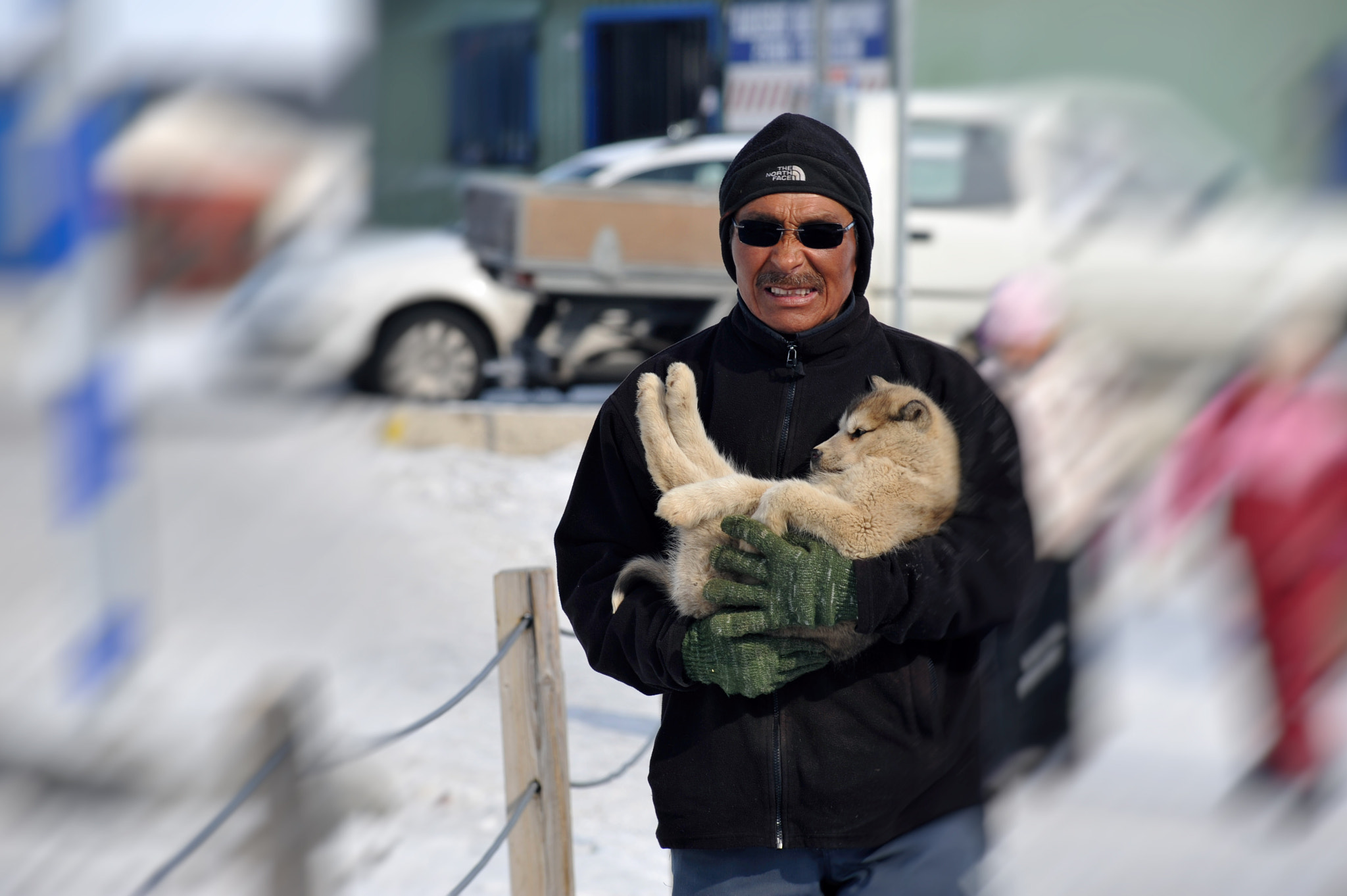 Nikon AF-Nikkor 80-200mm F2.8D ED sample photo. Greenland young husky photography