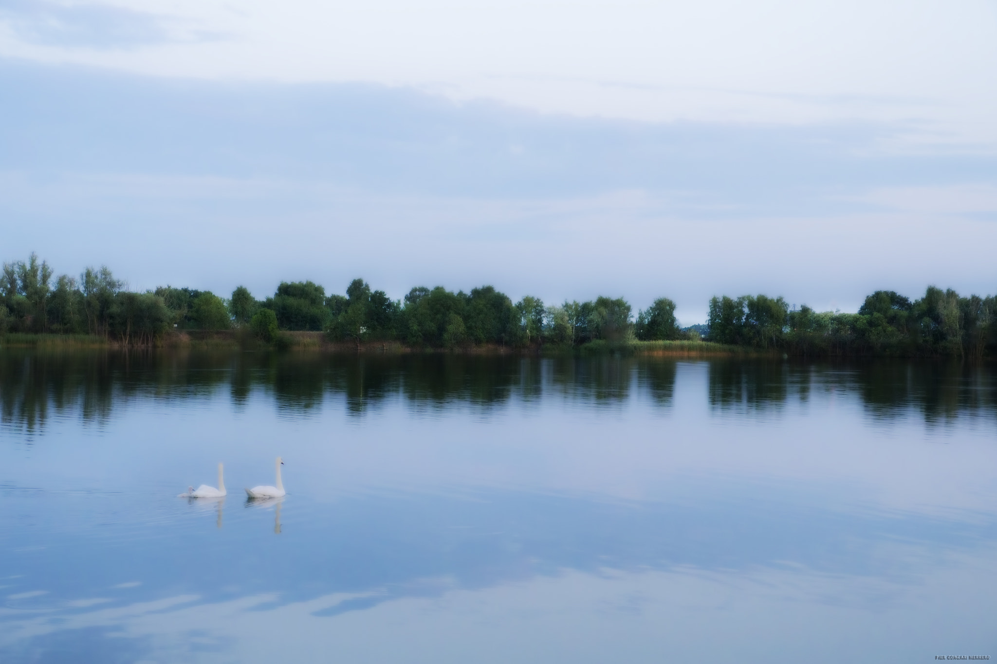 Panasonic Lumix DMC-GH2 sample photo. Skylake photography