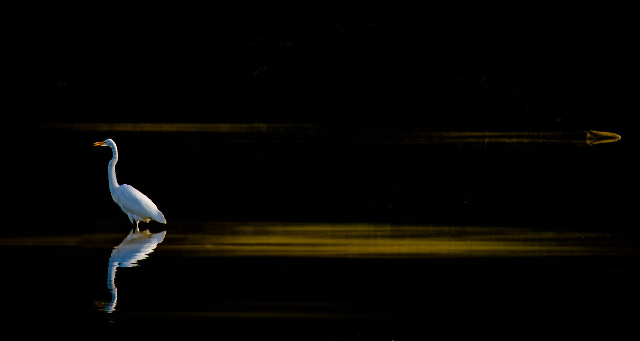 Canon EF 70-200mm F2.8L IS II USM sample photo. Evening vigil photography